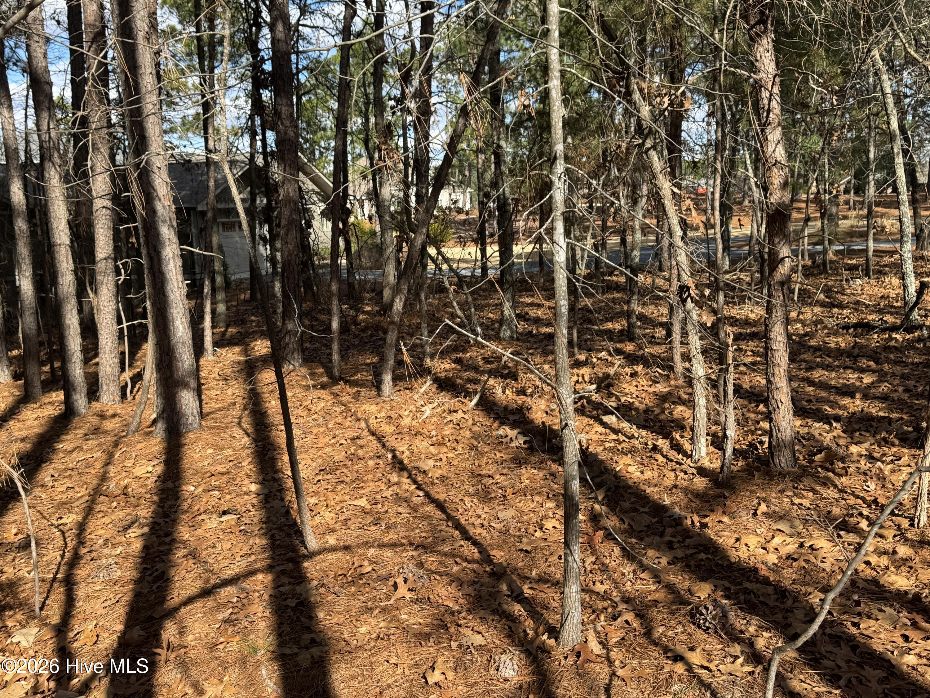 148 Swaringen Drive