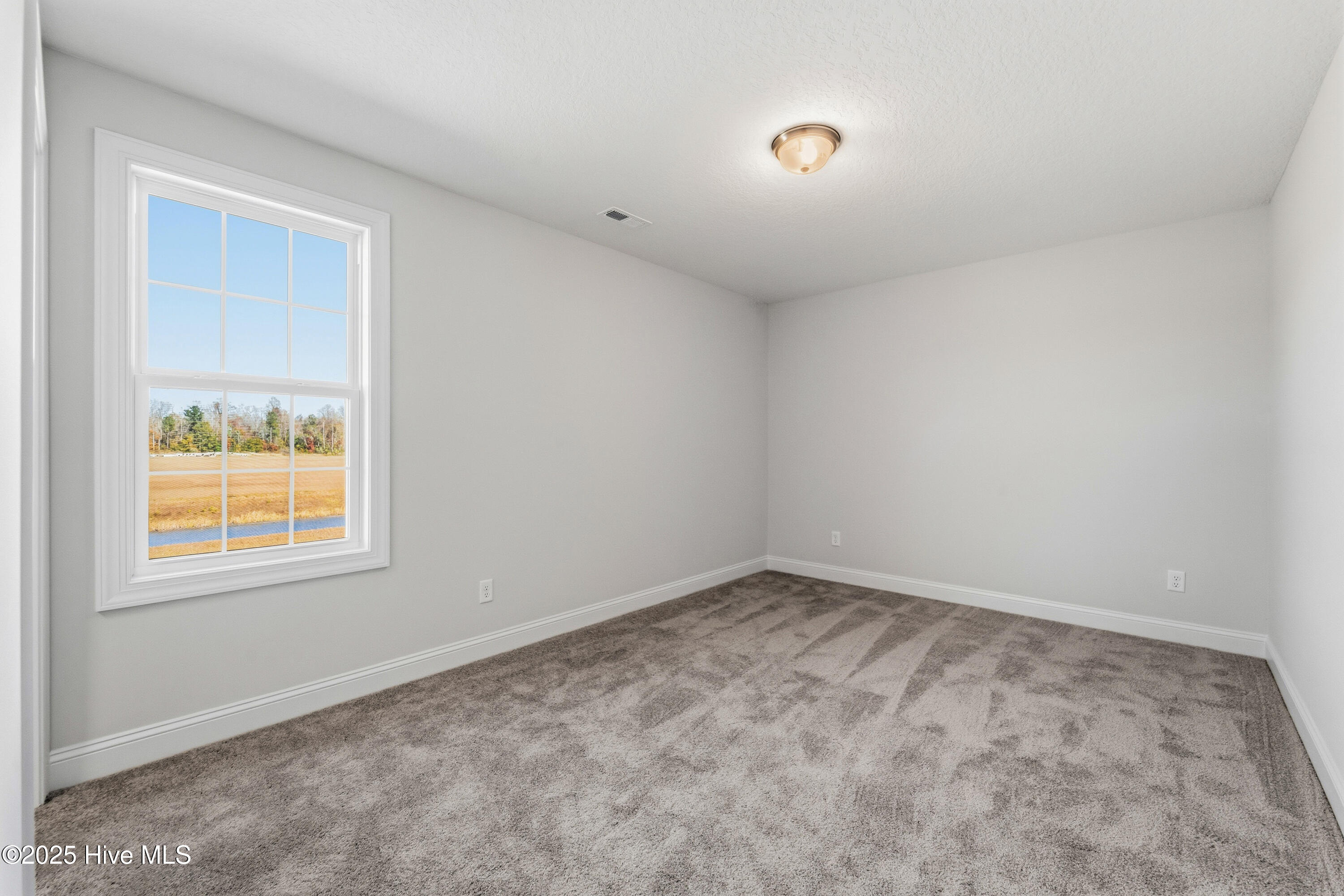 100507168 | Photo 39