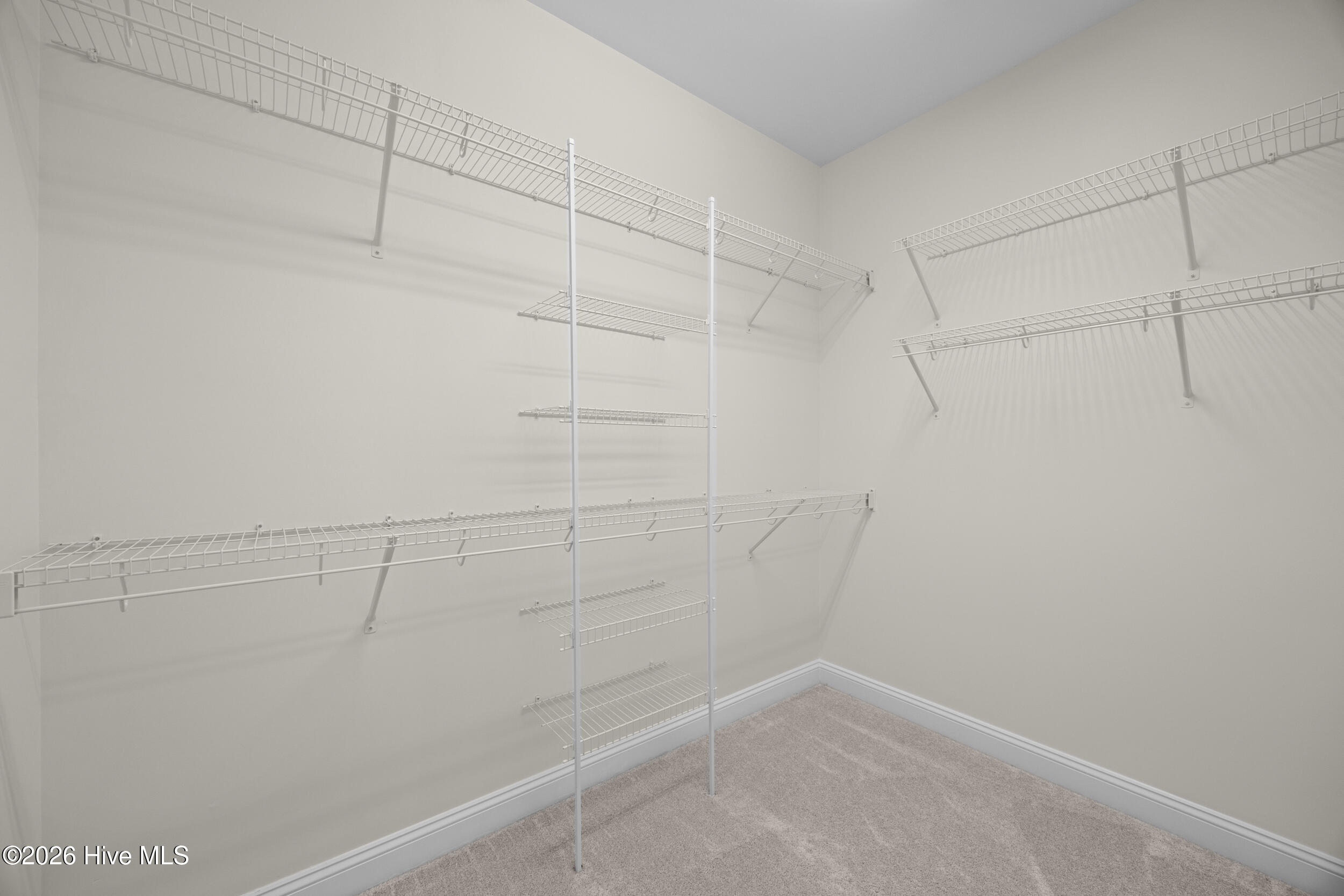 100568241 | Photo 37