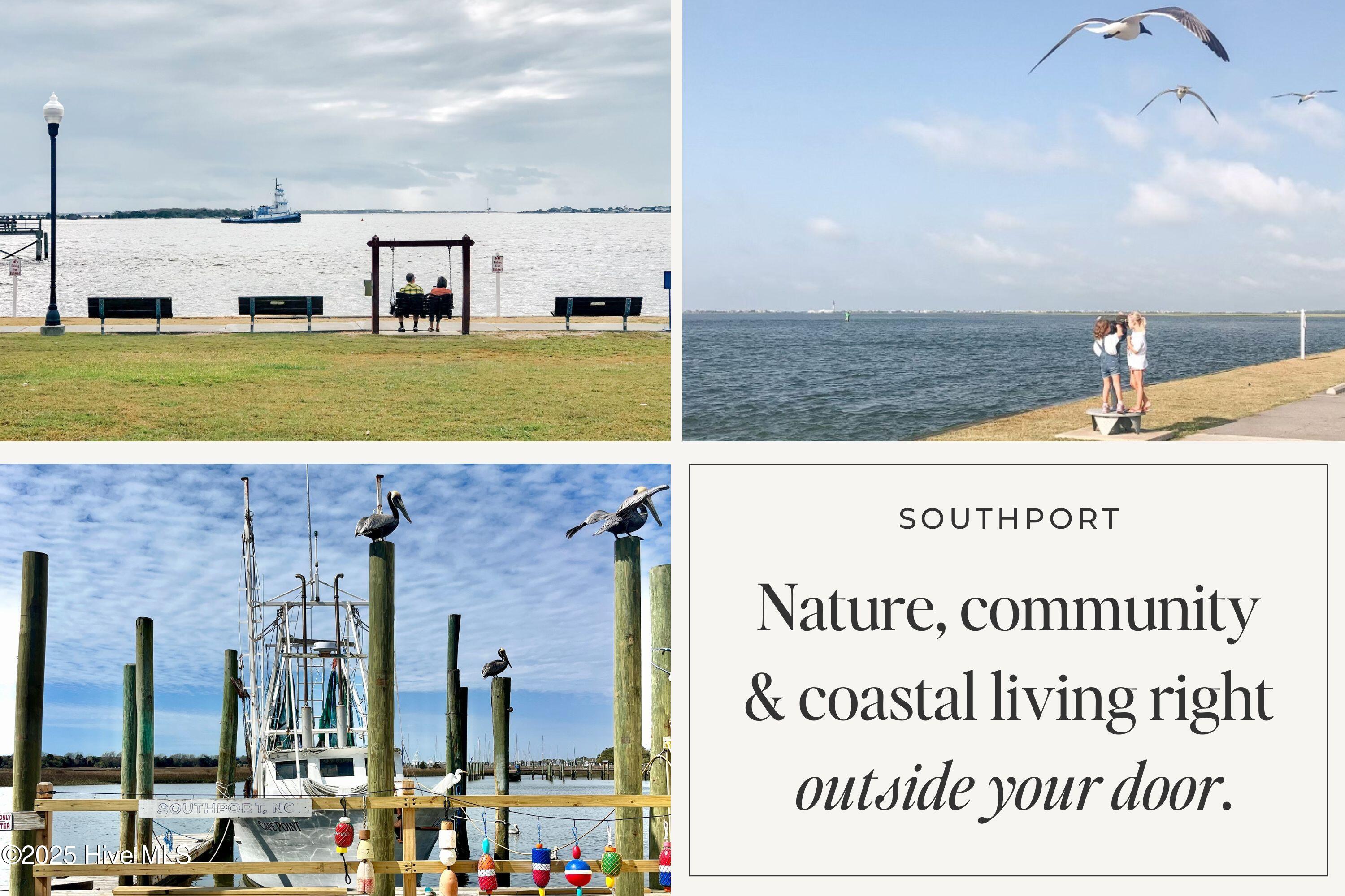 100543271 | Photo 47