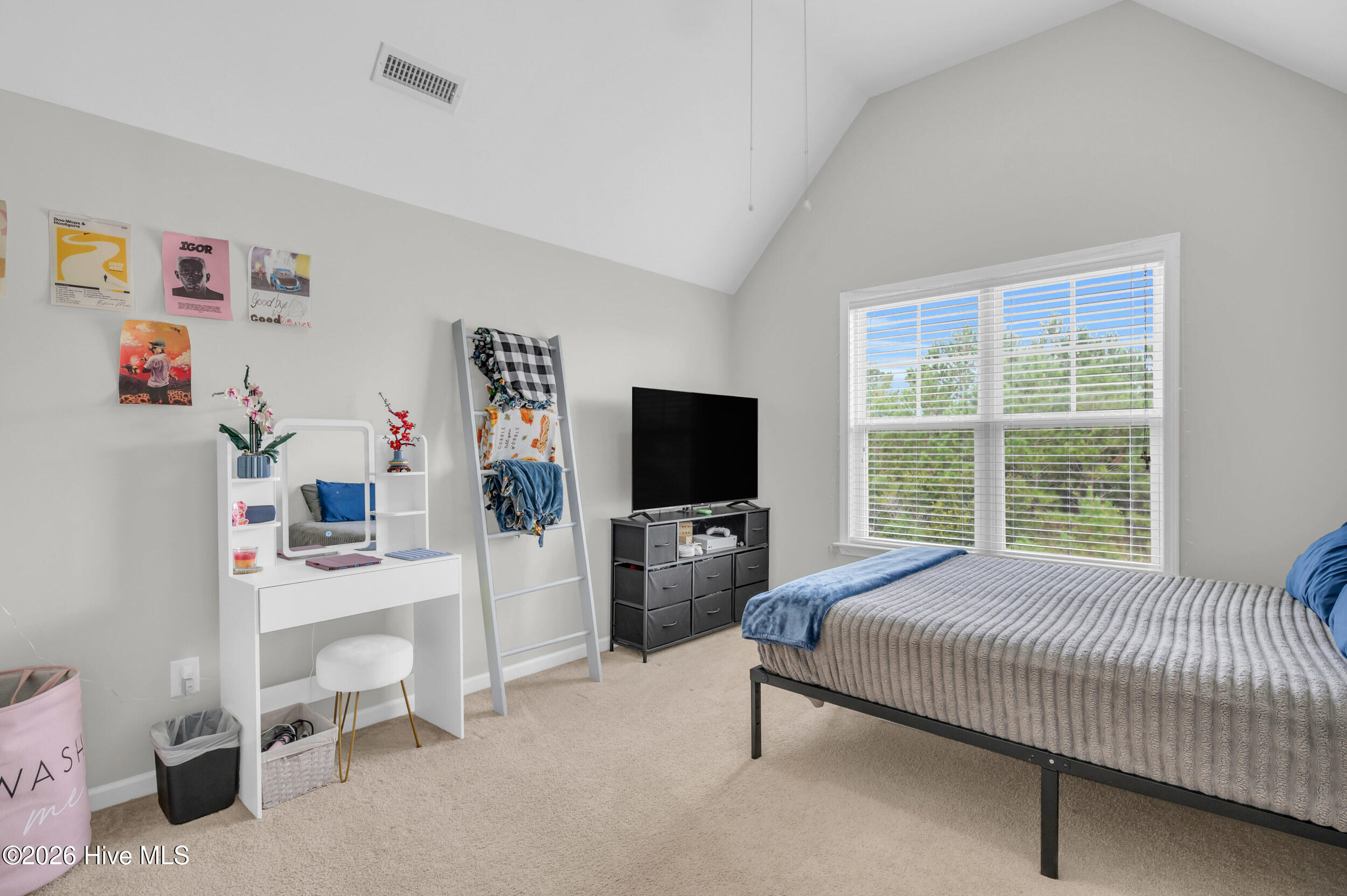 100550798 | Photo 38