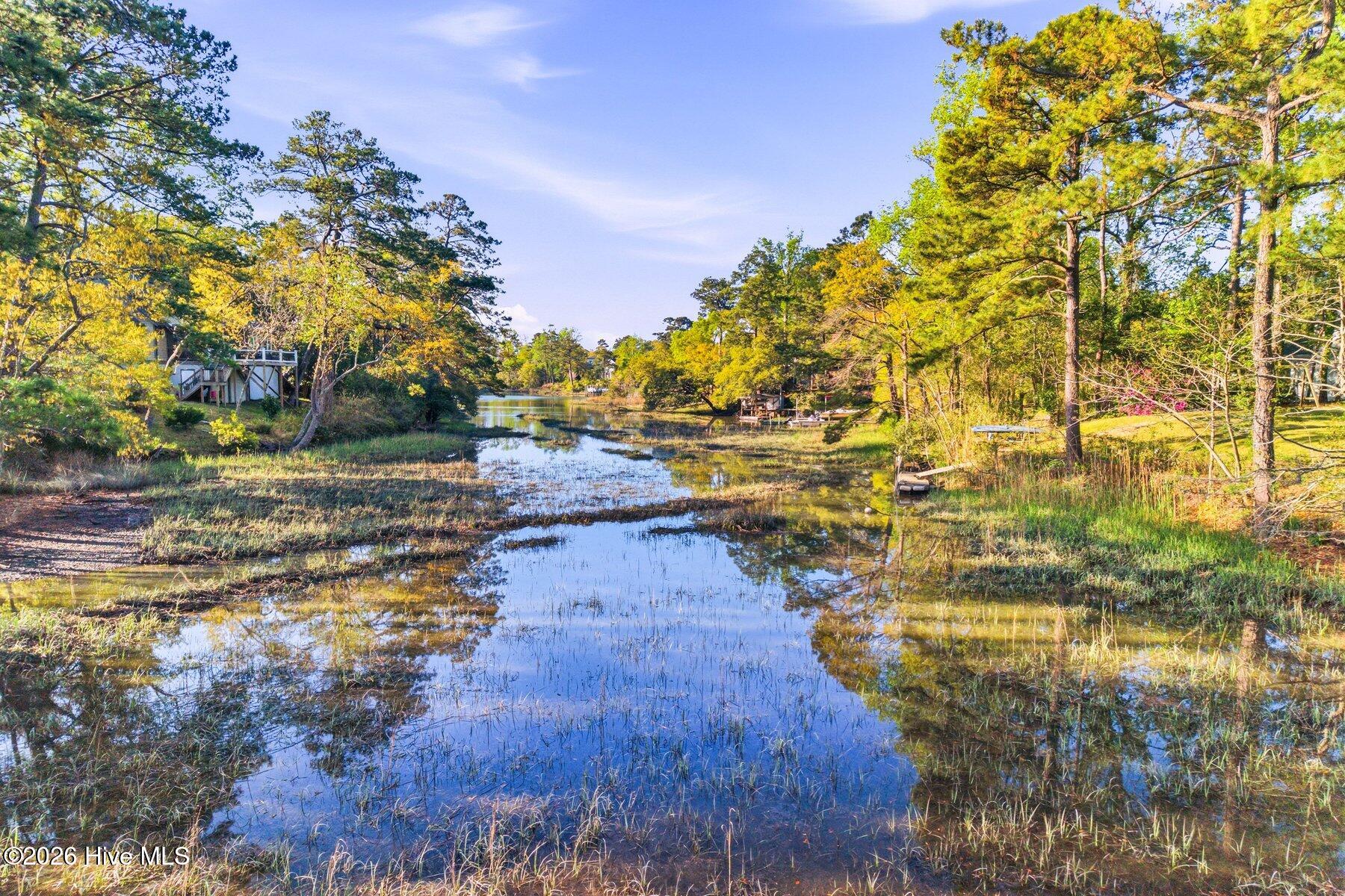 100564189 | Photo 13