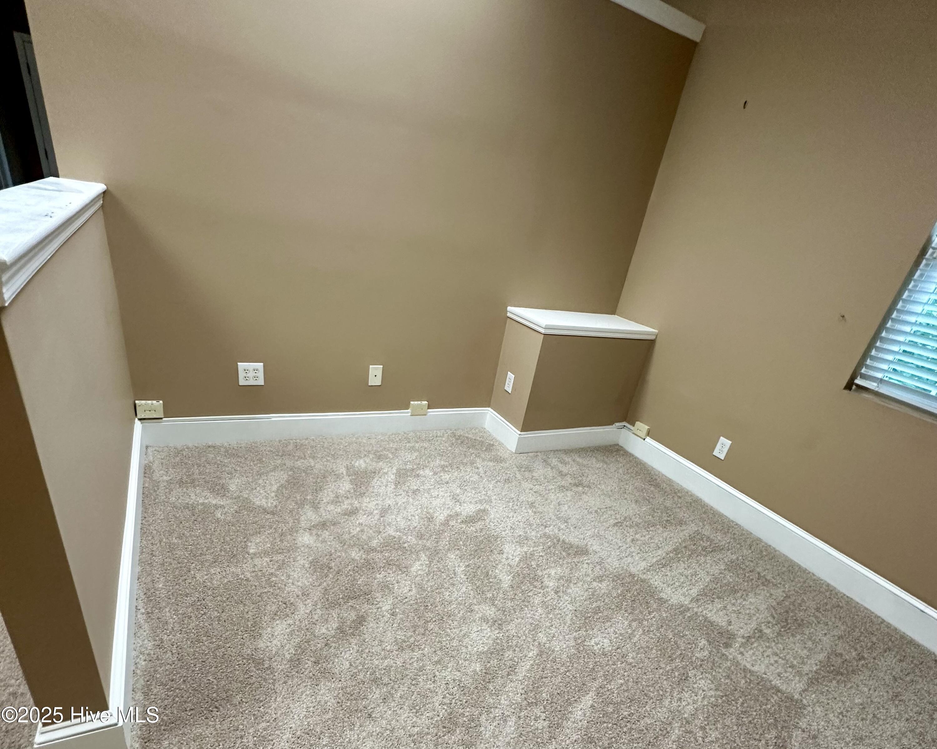 100516954 | Photo 14