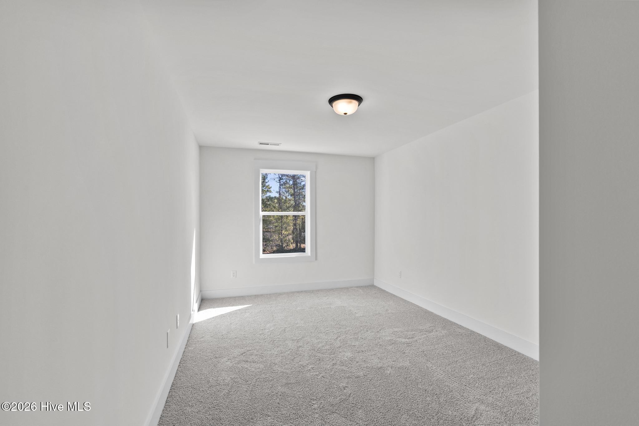 100567238 | Photo 28