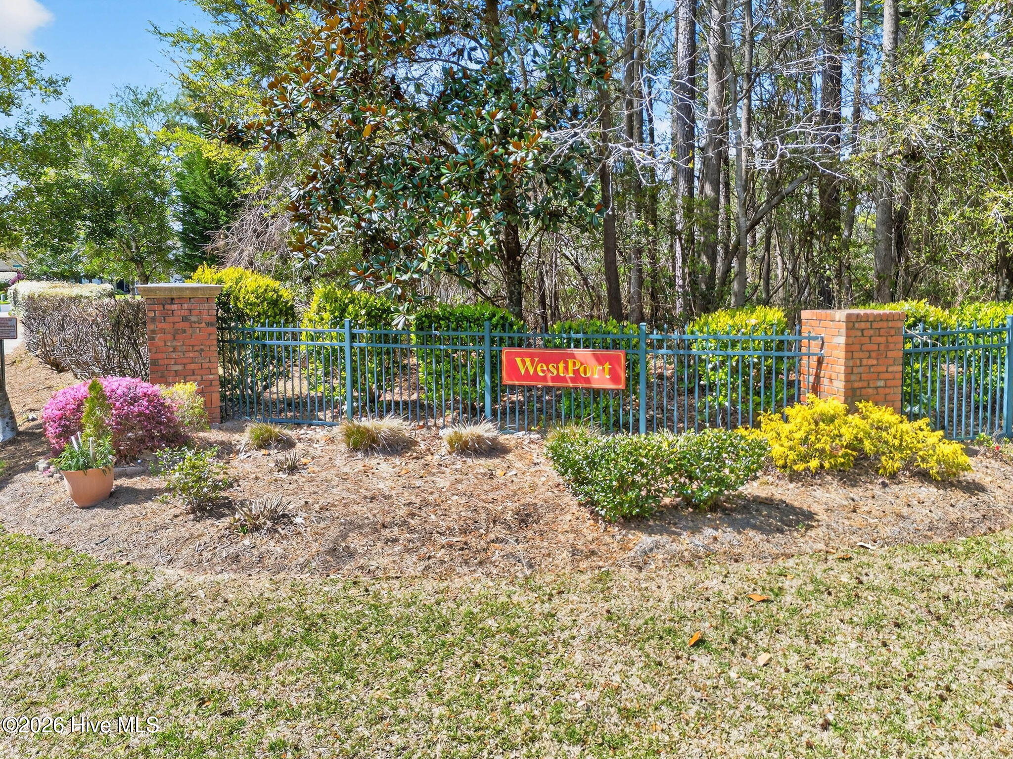 100566097 | Photo 47