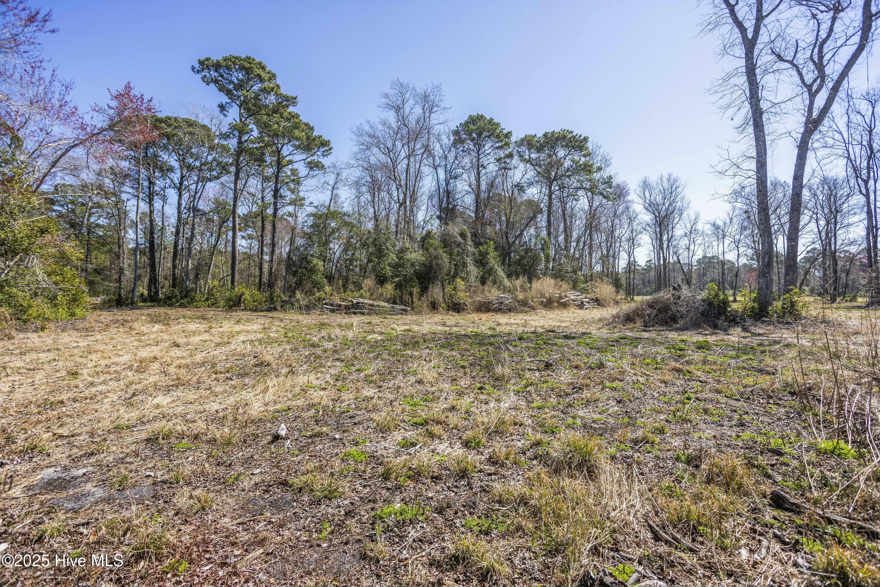 100495483 | Photo 26