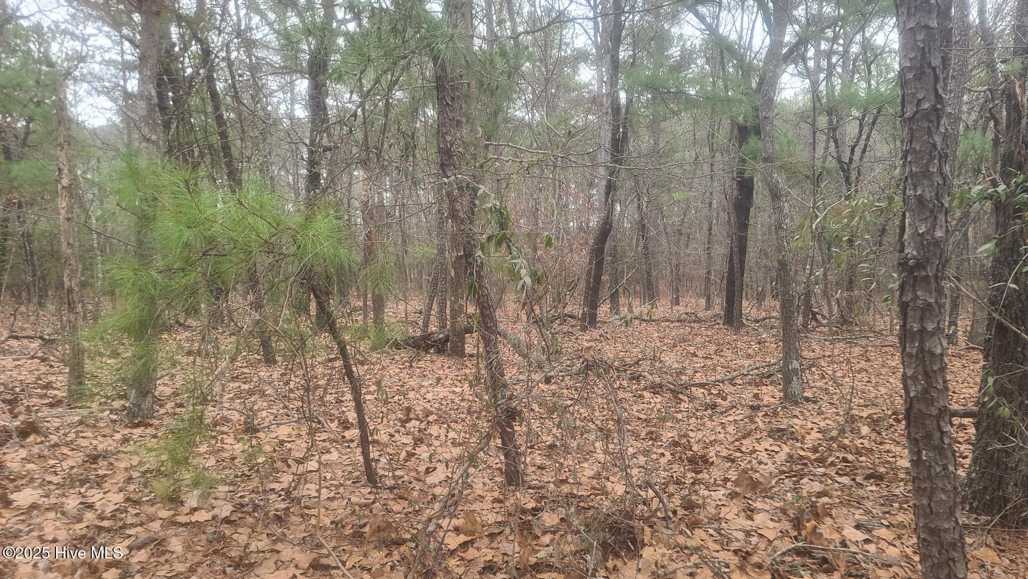 Undisclosed Address, Hephzibah, GA, 30815