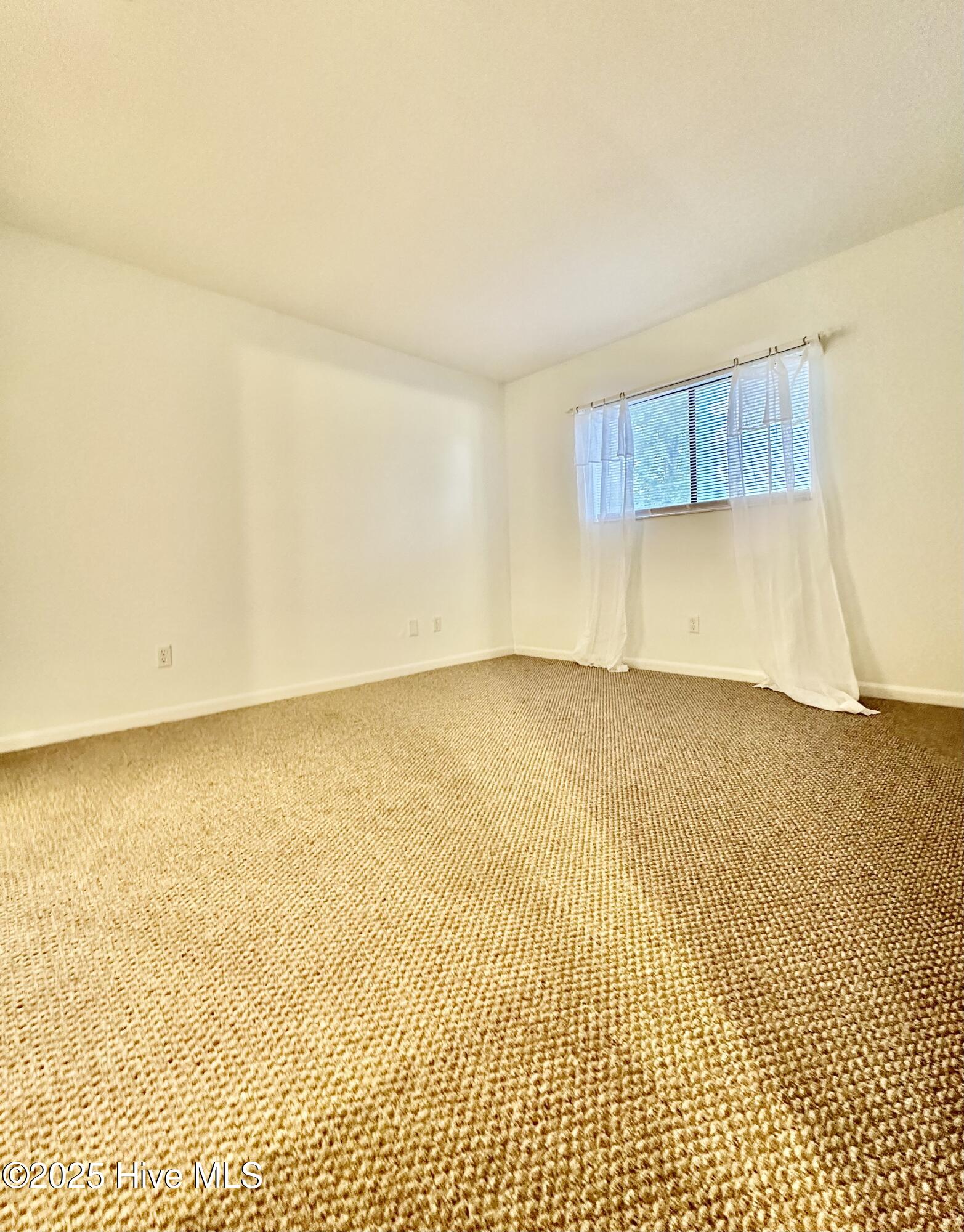 100543469 | Photo 15