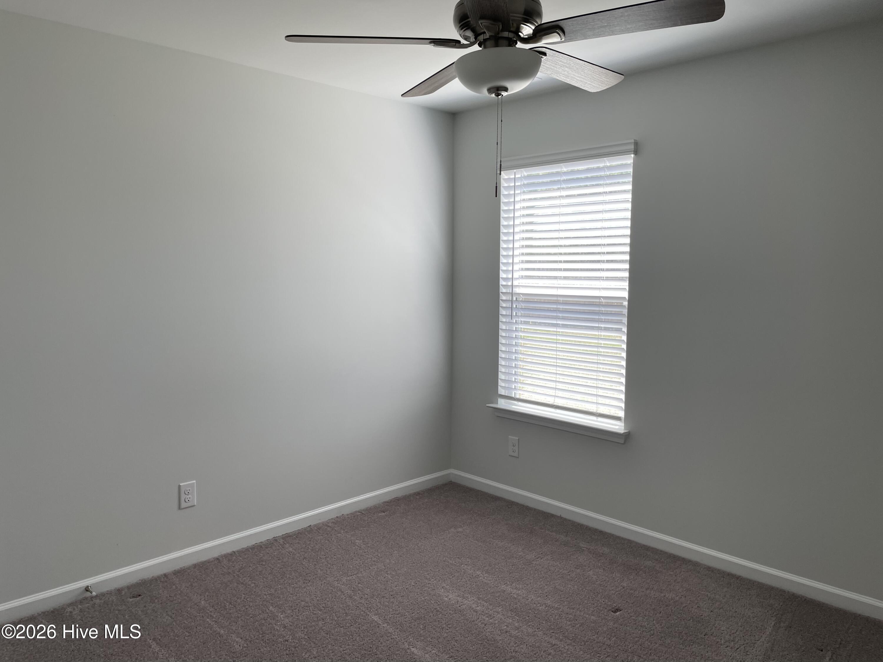 100562231 | Photo 16