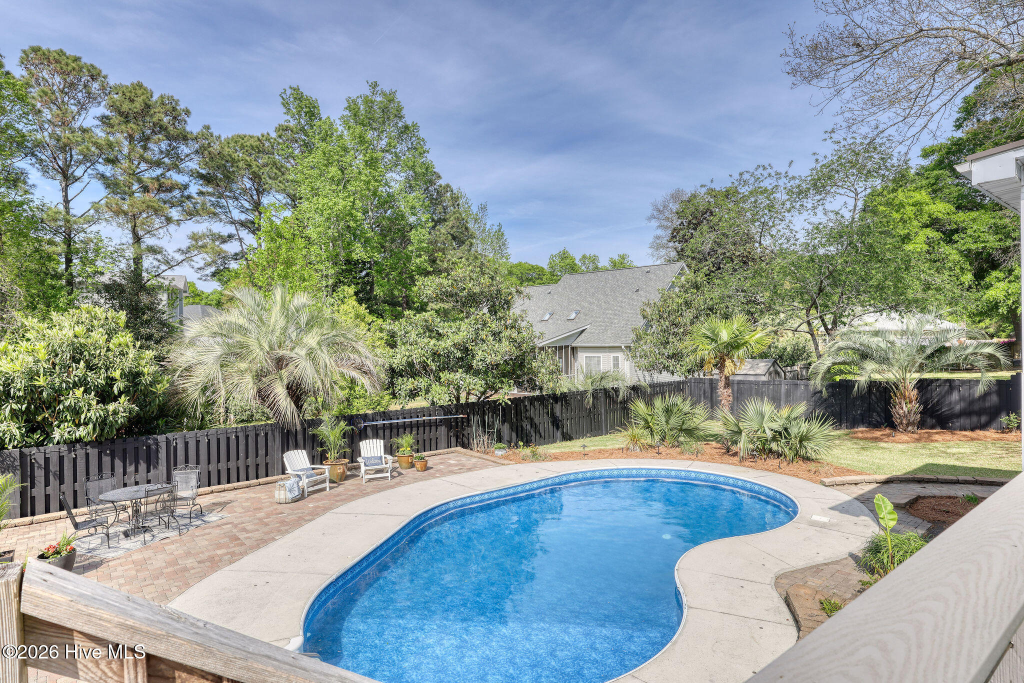 100567317 | Photo 64