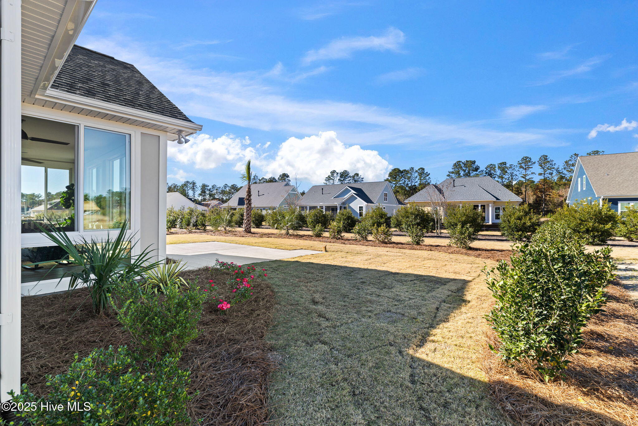 100522532 | Photo 58