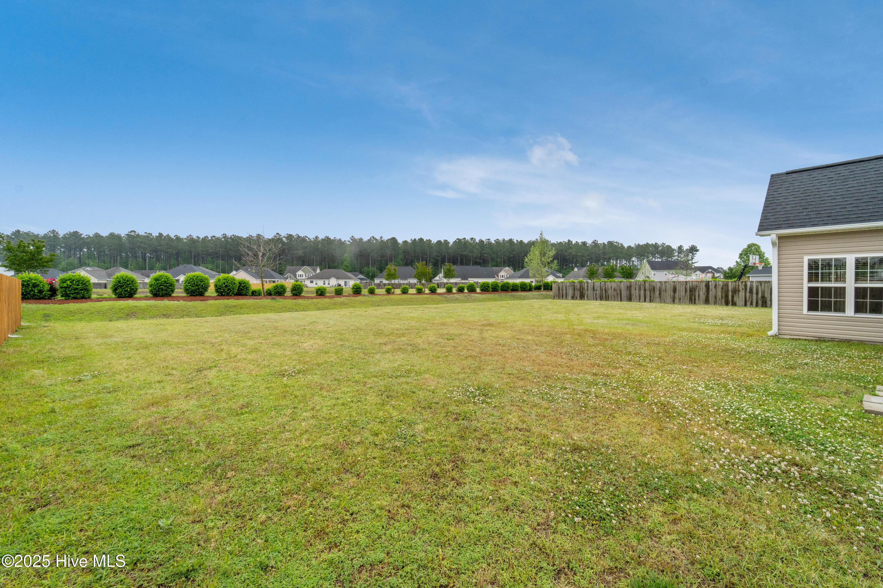 100562423 | Photo 20