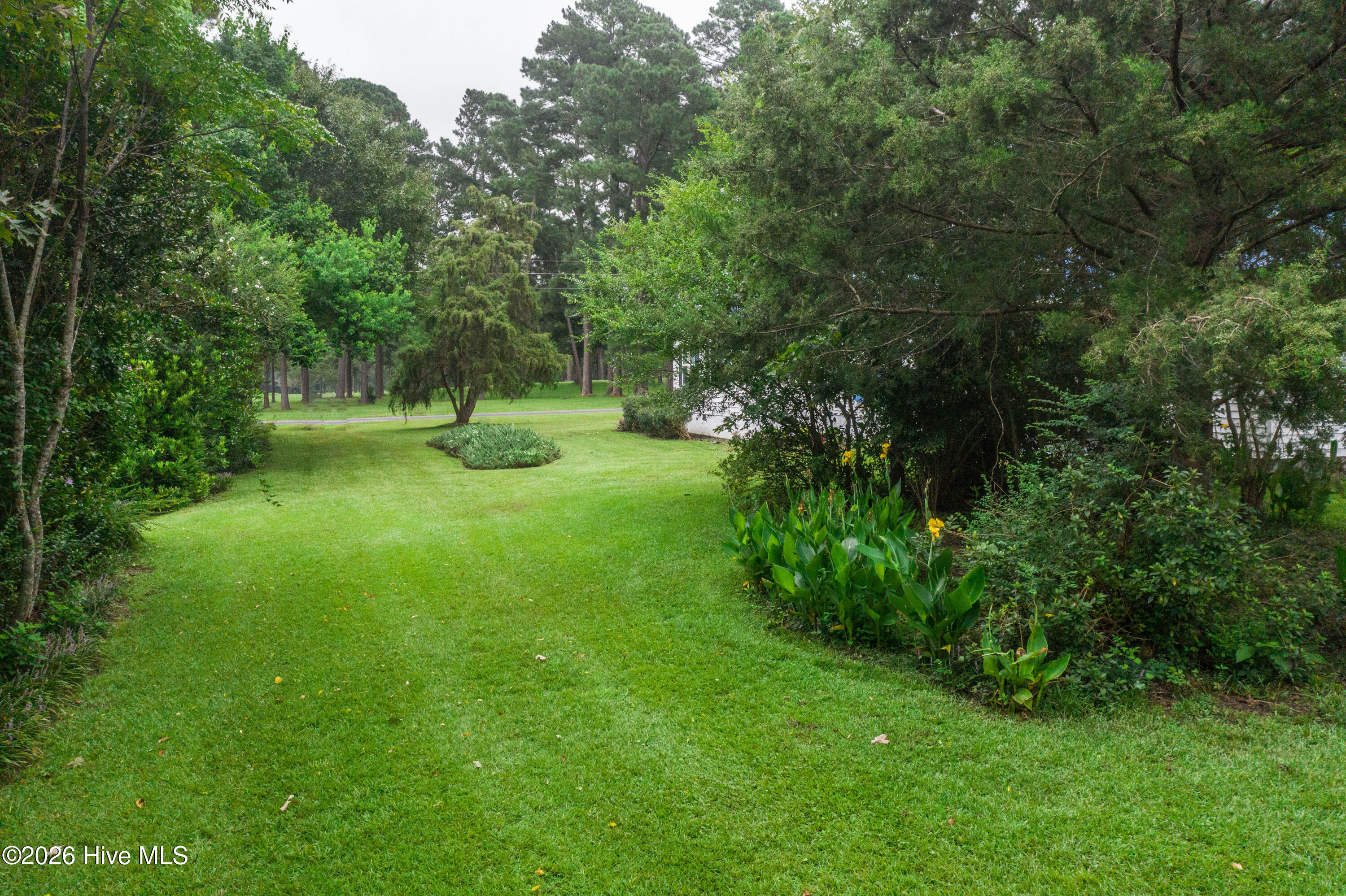 100563568 | Photo 50