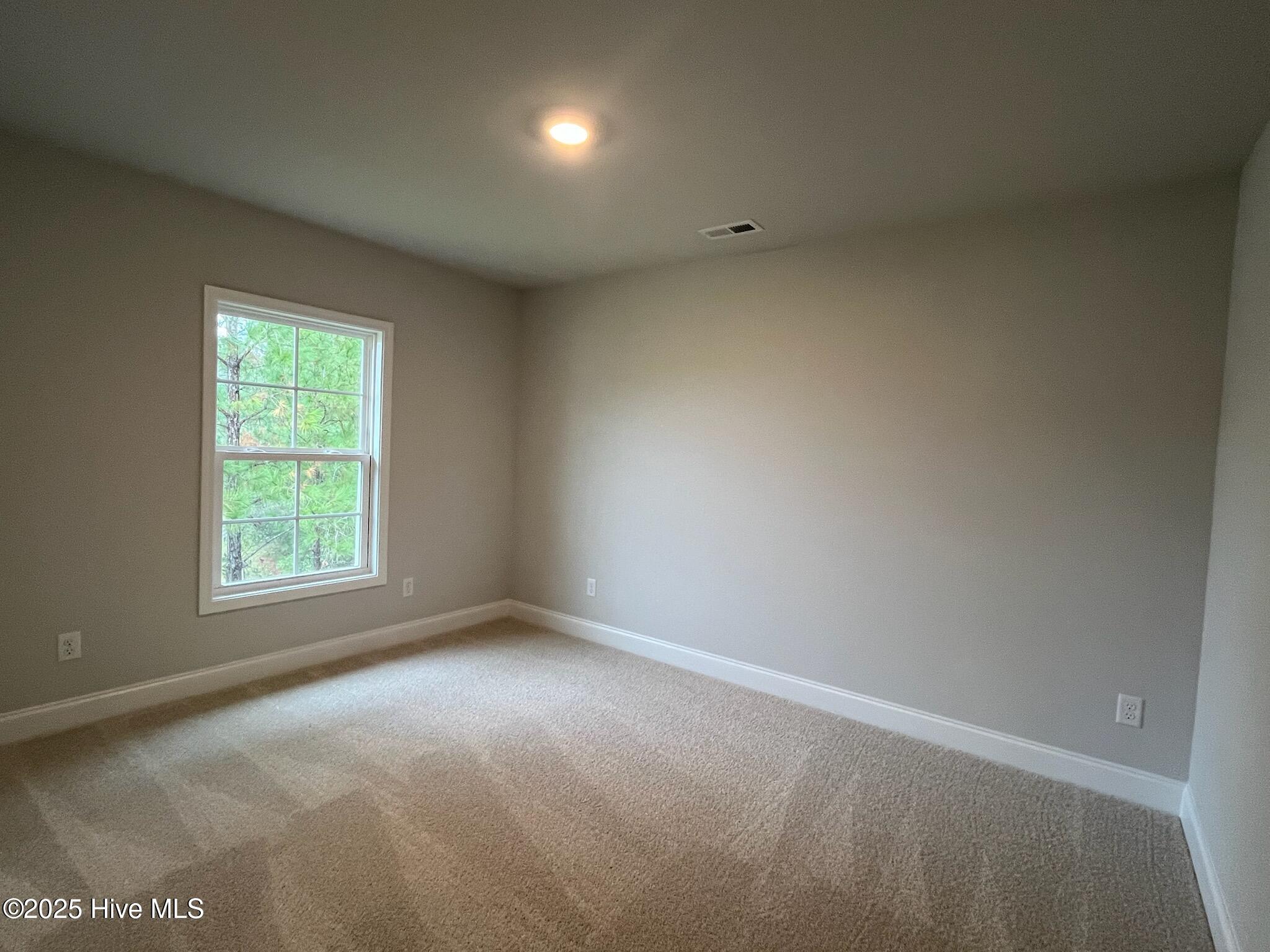 100423282 | Photo 38