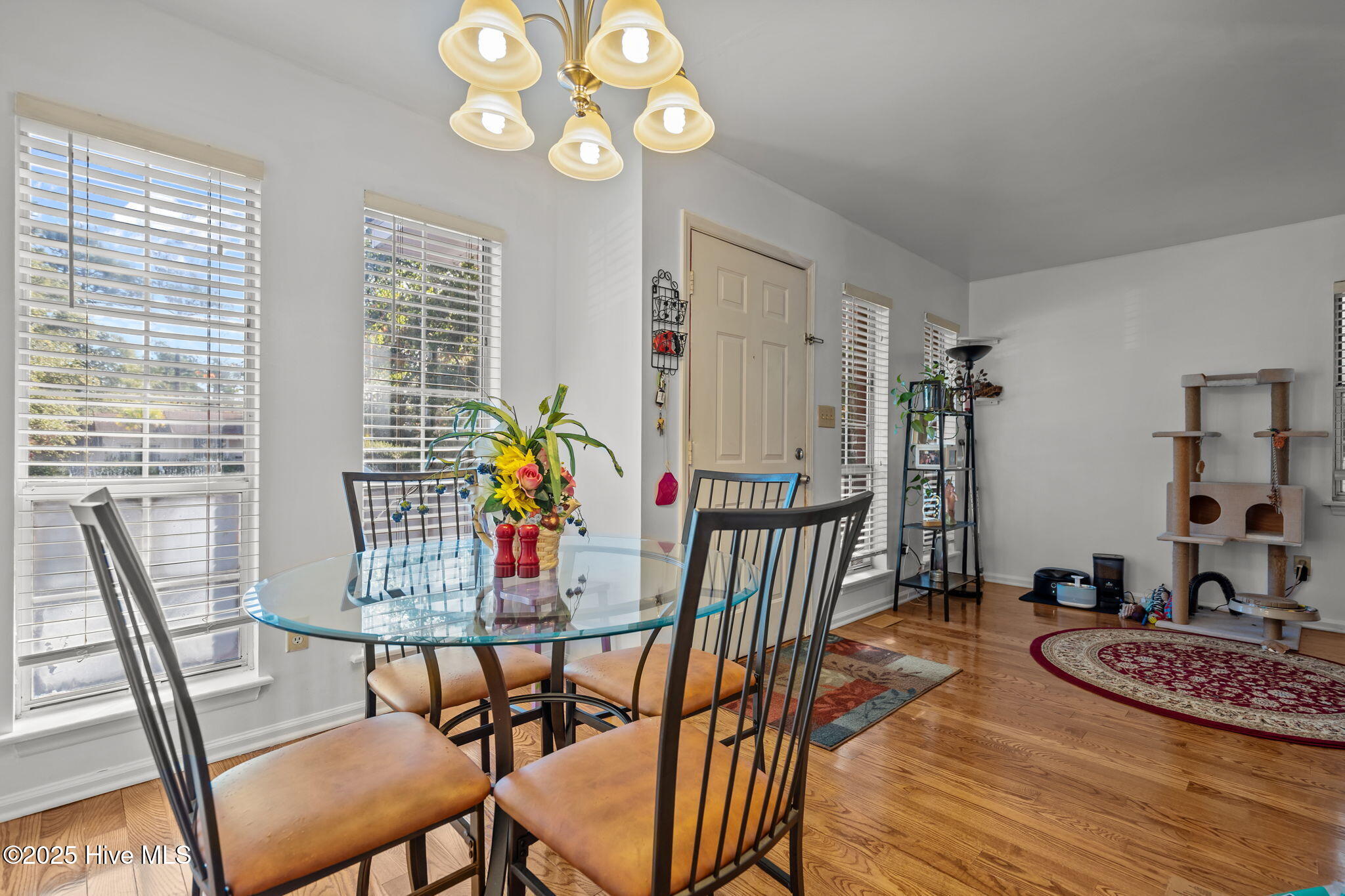 100559605 | Photo 26