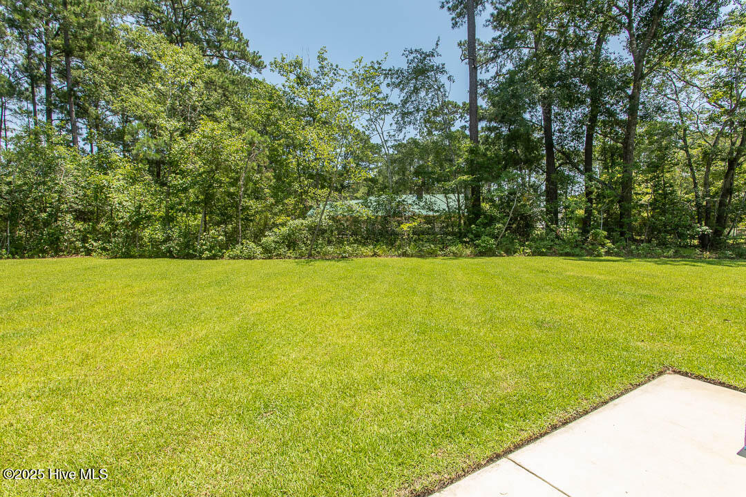 100541547 | Photo 42