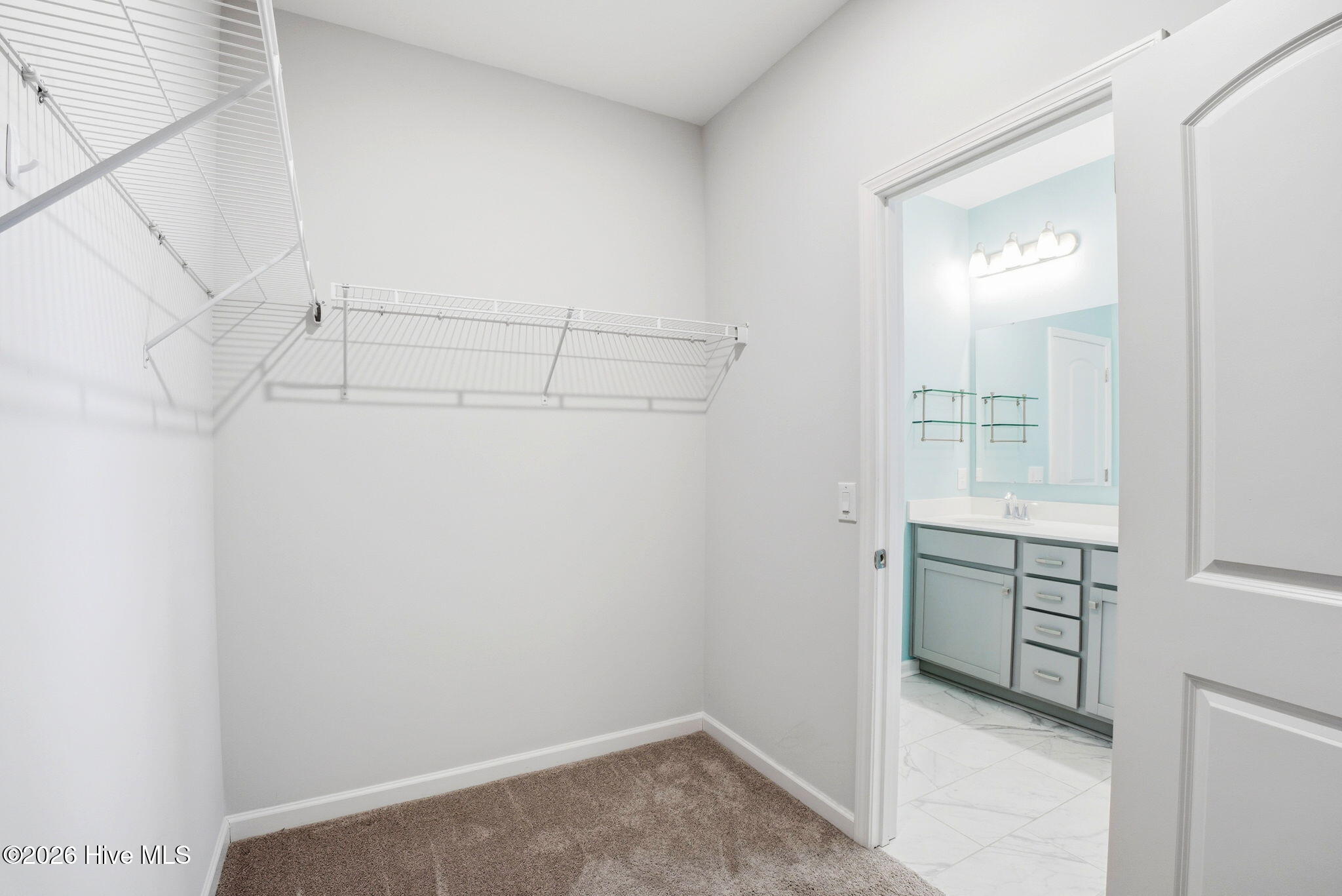 100558607 | Photo 20