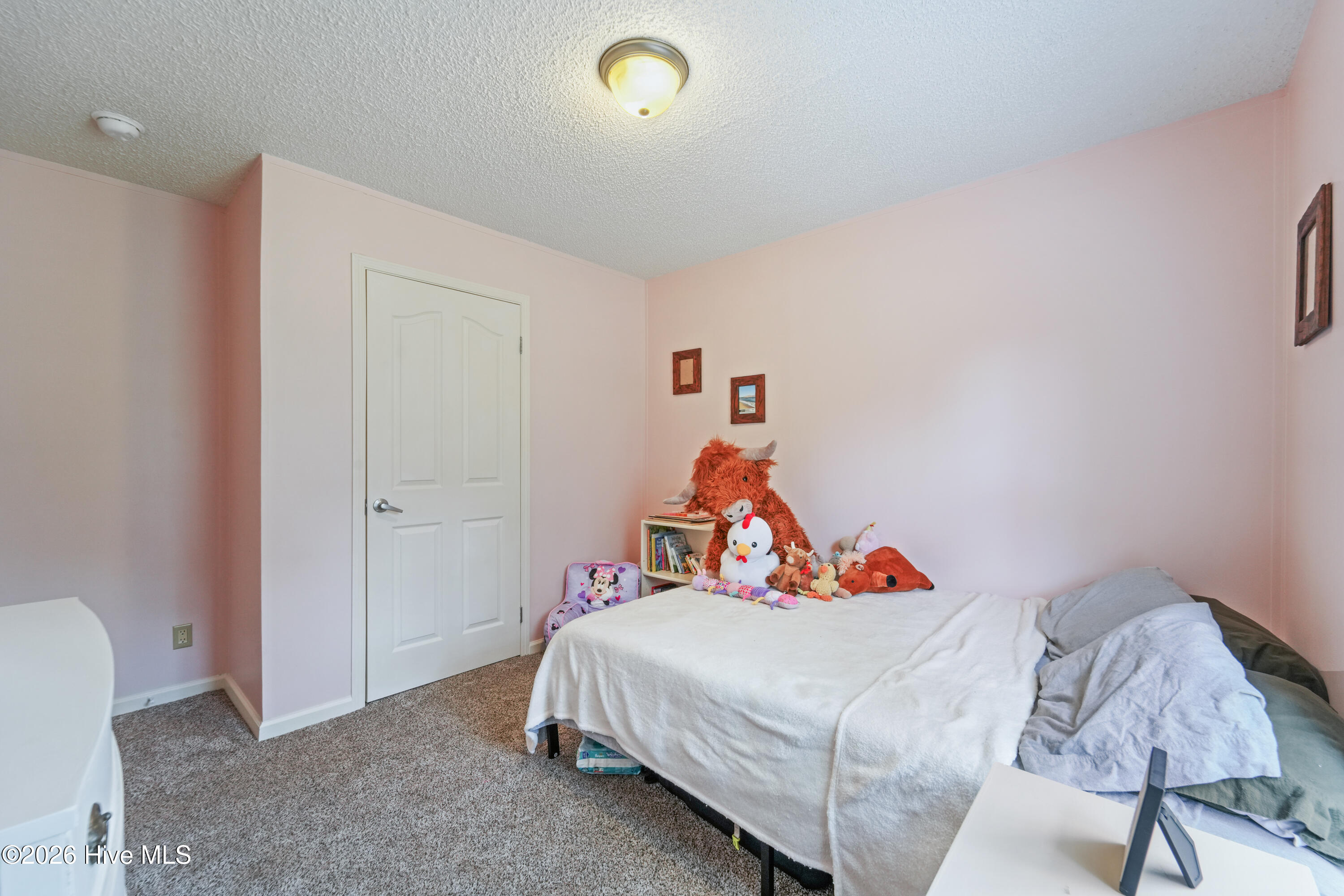 100570687 | Photo 17