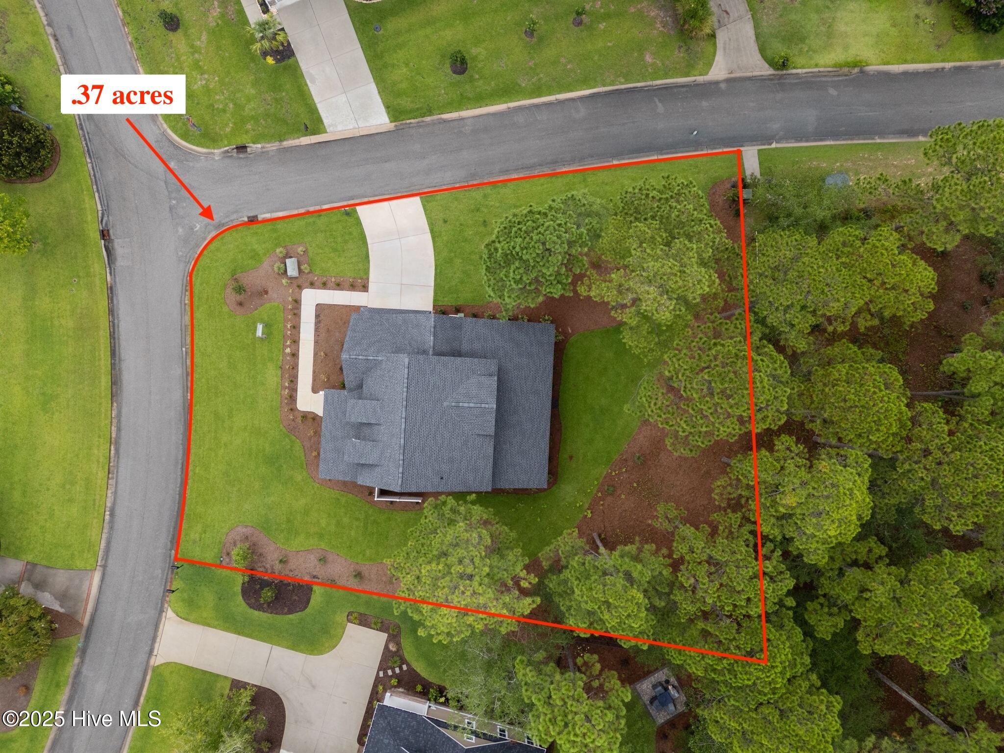 100525046 | Photo 51