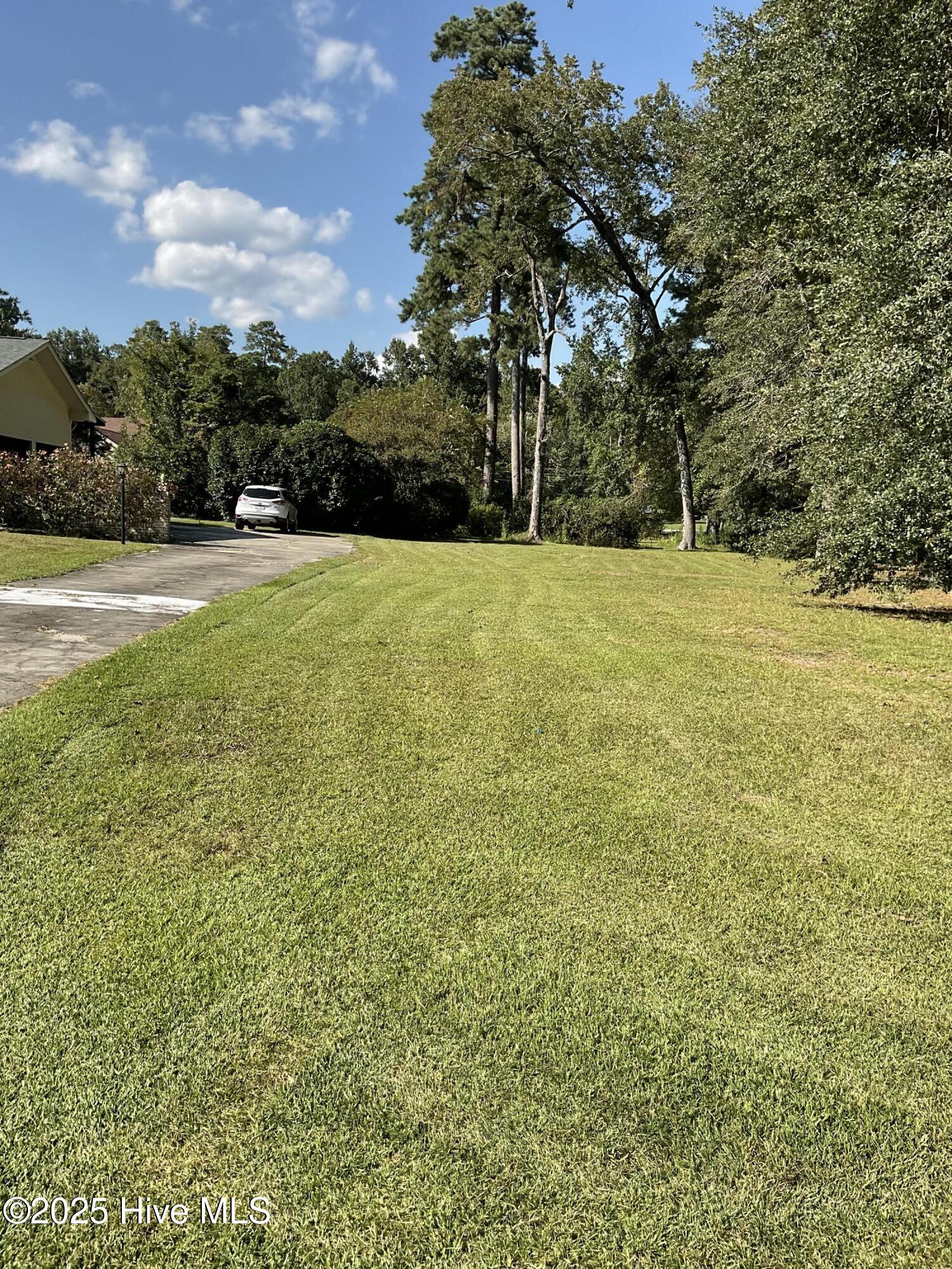 100529800 | Photo 25