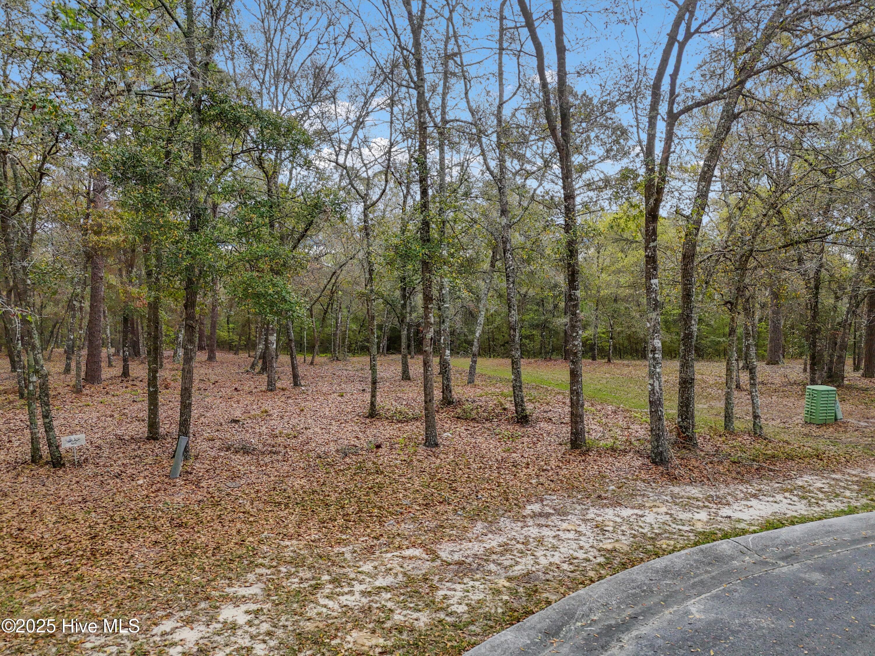 Exterior photo of 584 Asphodel Drive SW, Supply, NC 28462. MLS: 100591379