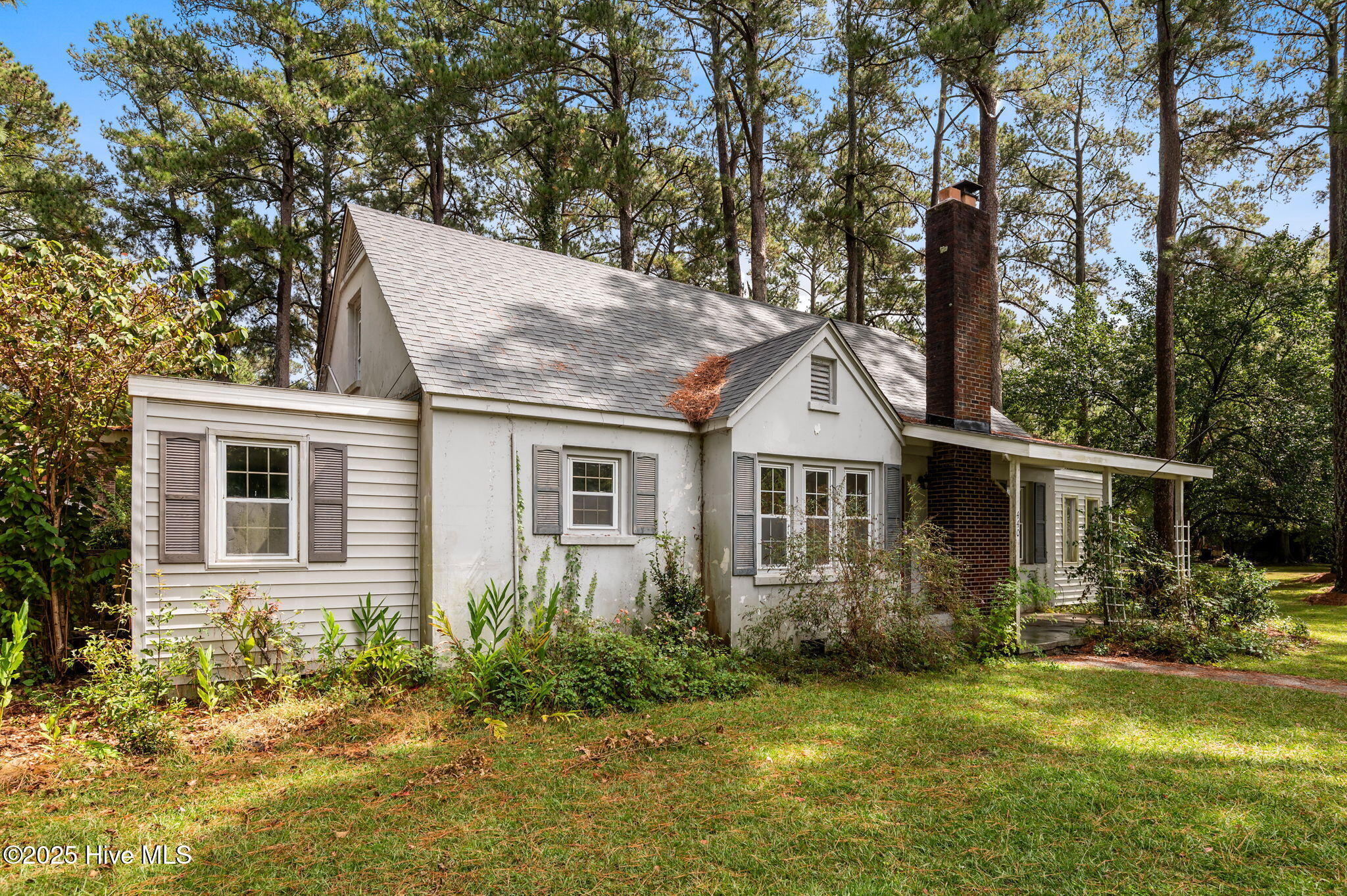 2-web-or-mls-LHV_3558