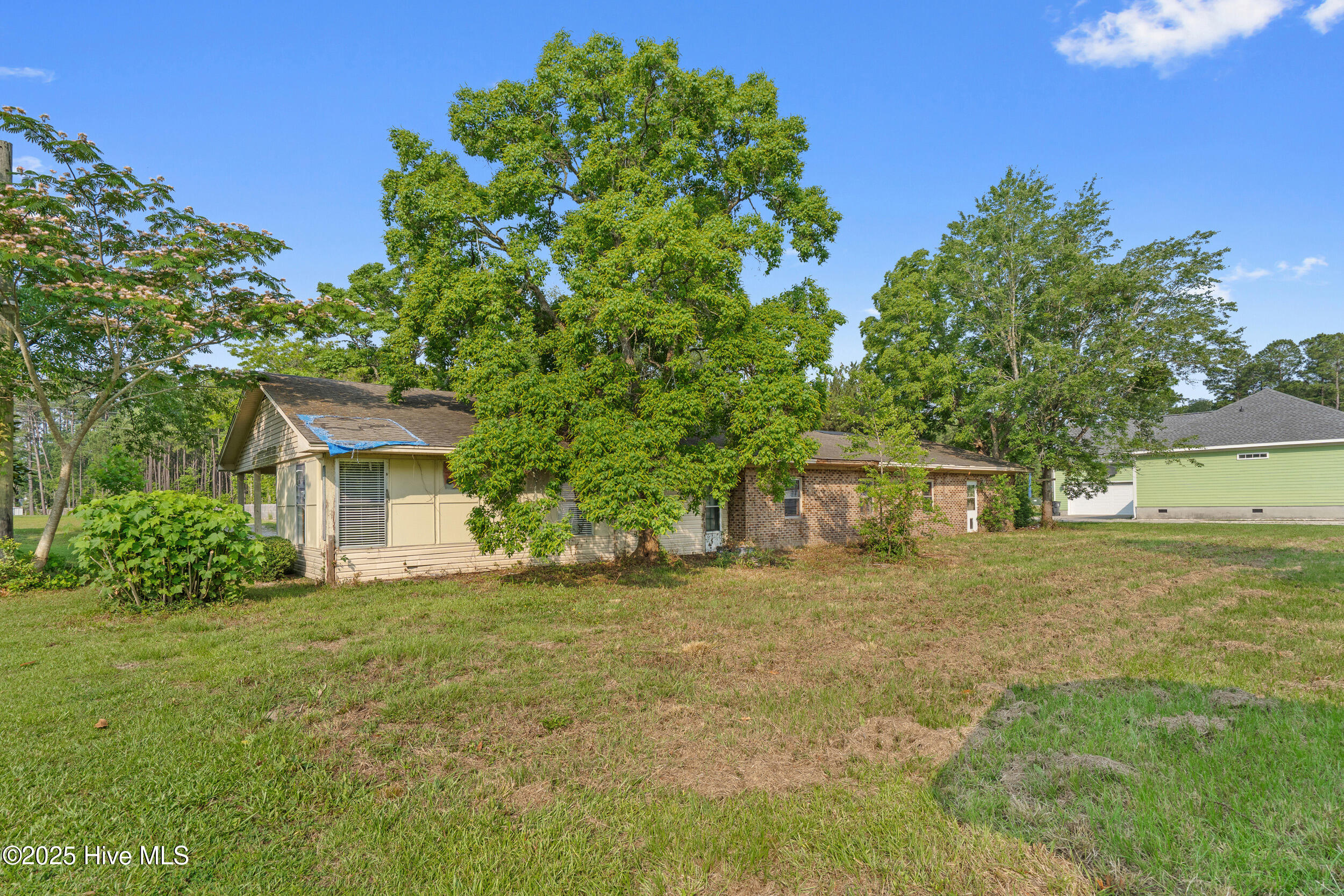 100530649 | Photo 21