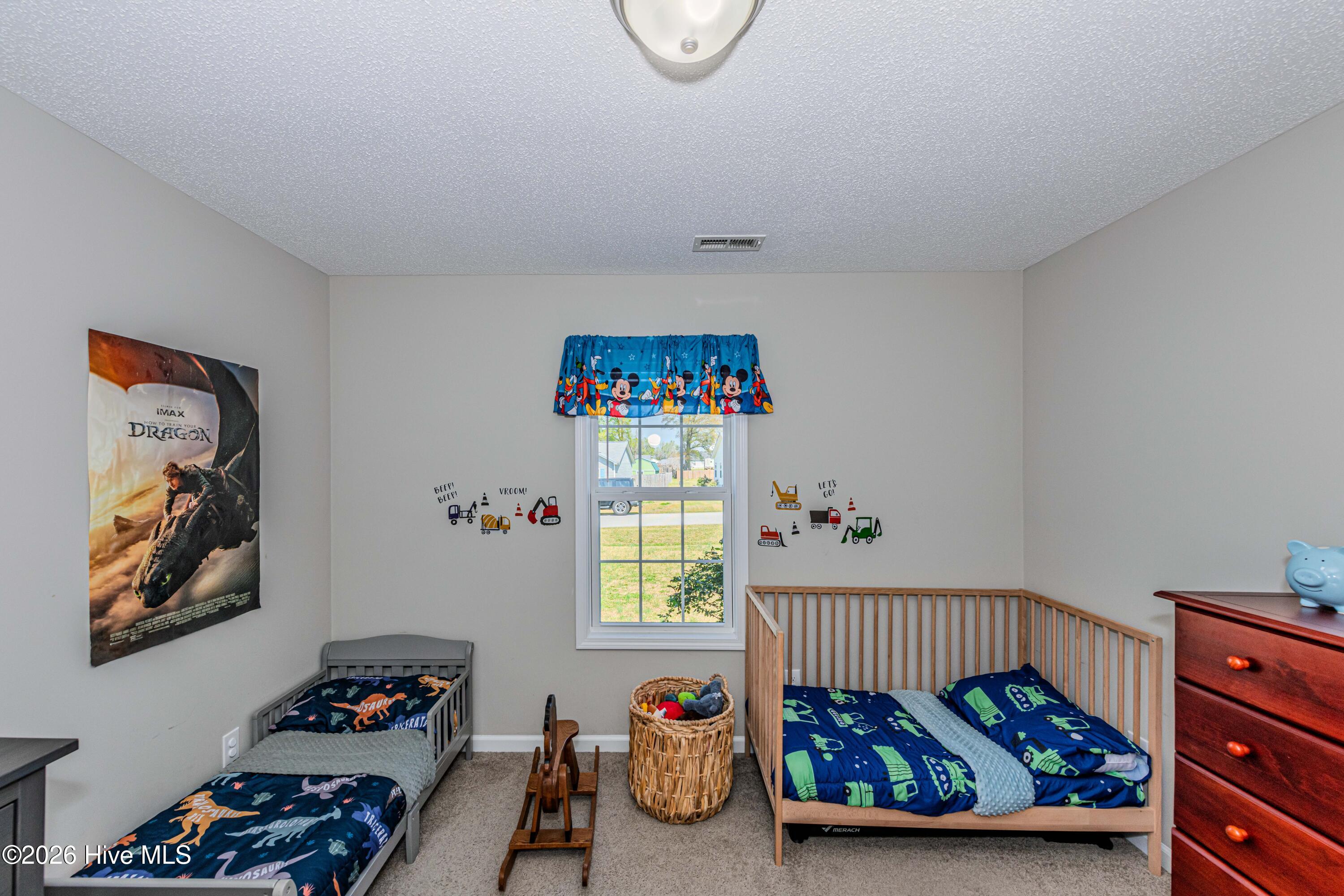 100565701 | Photo 39