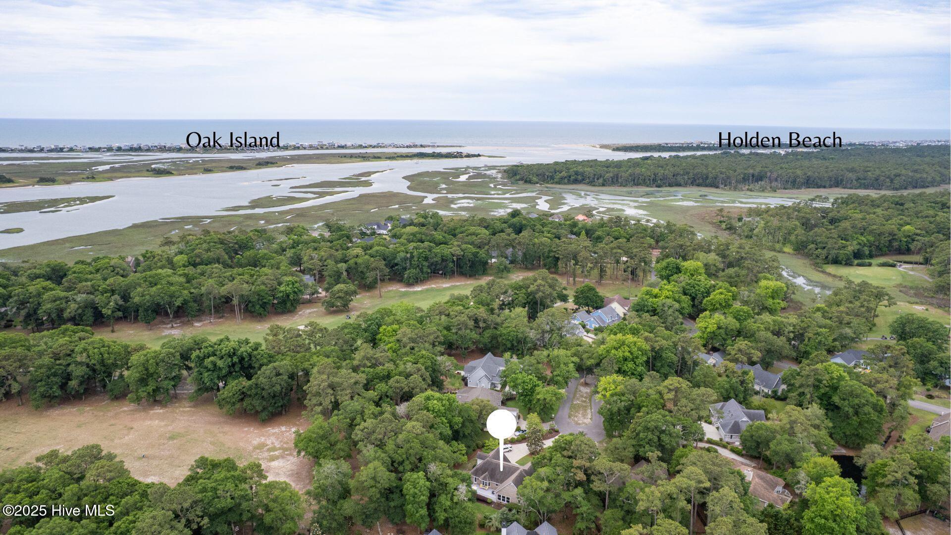 100508279 | Photo 46