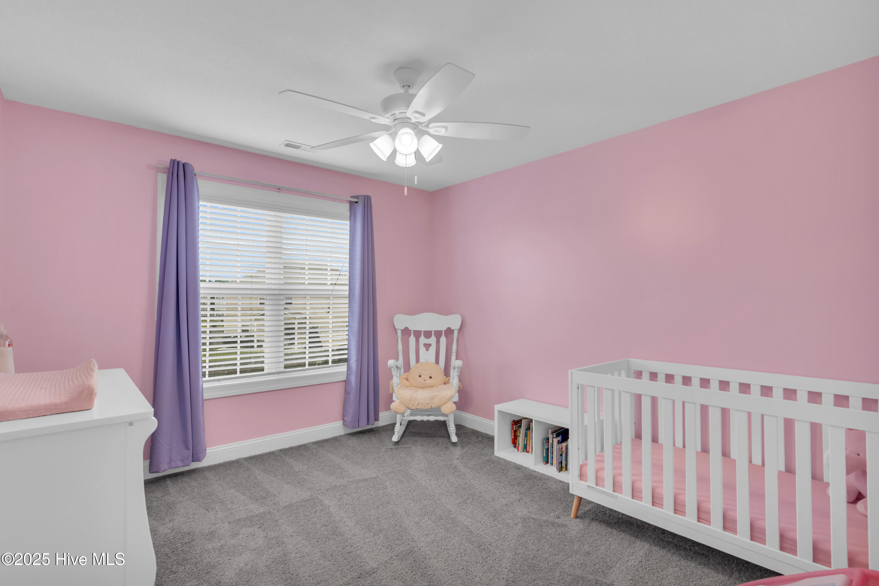 100534208 | Photo 24