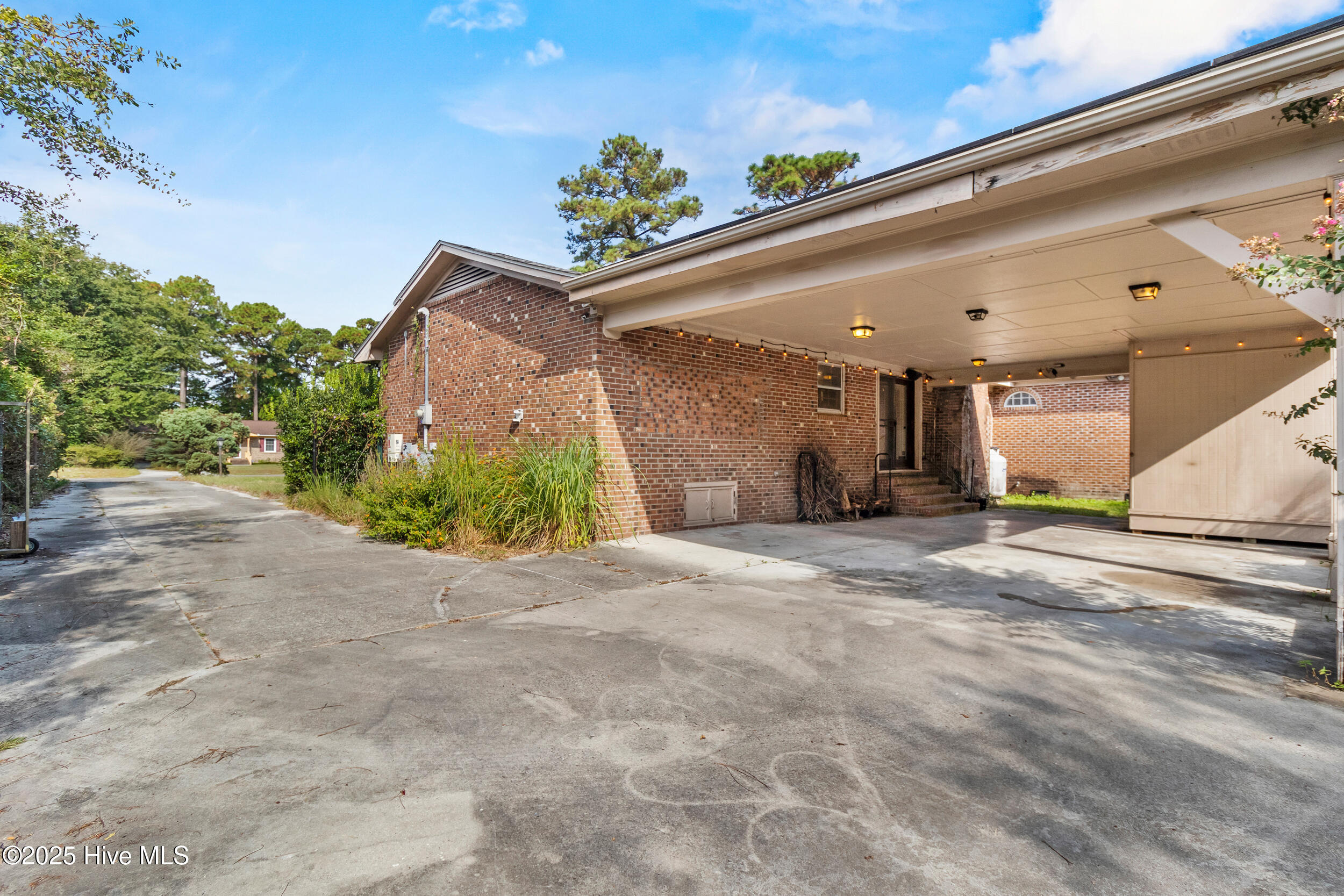 100535296 | Photo 40