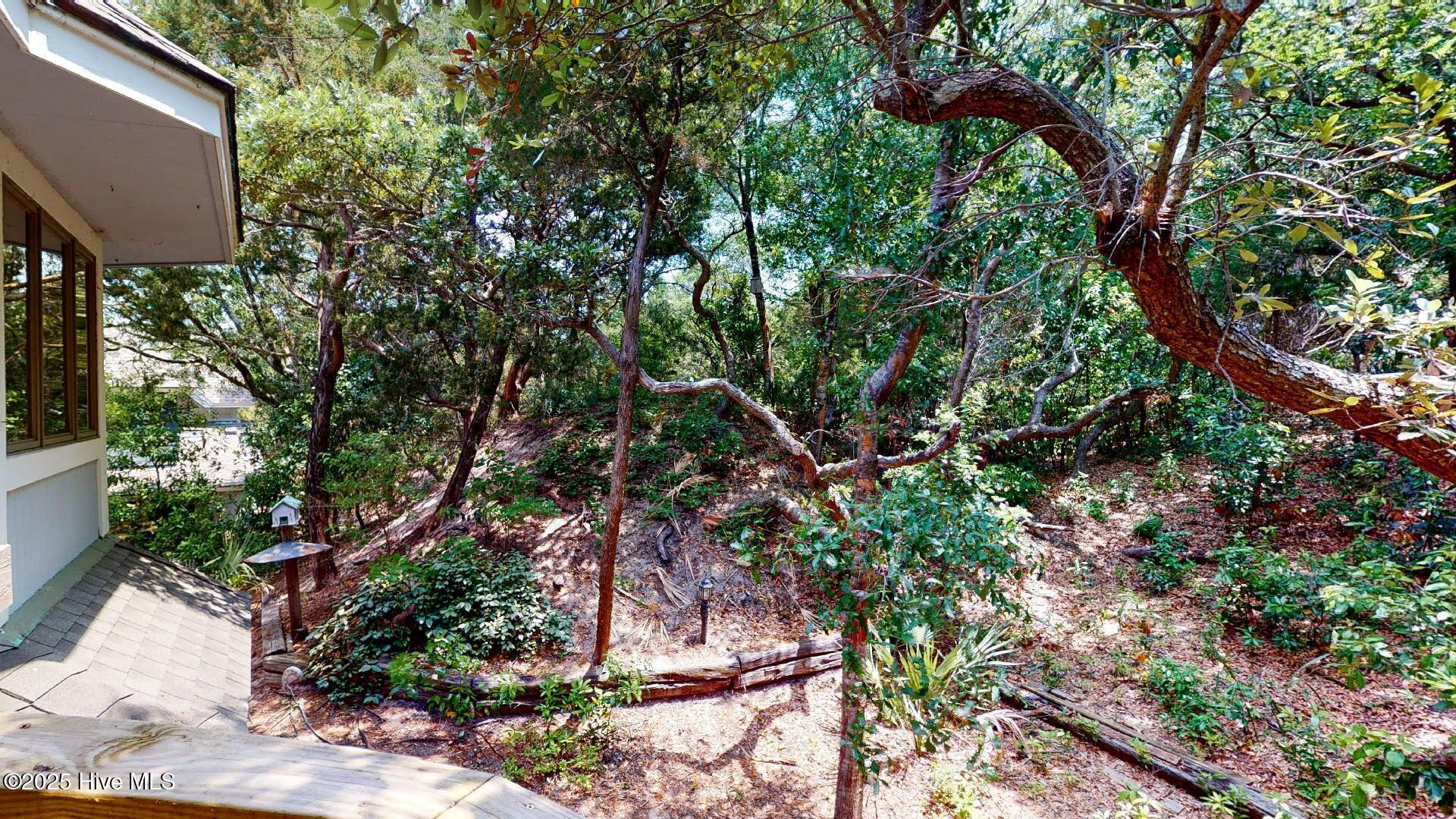 100542695 | Photo 25