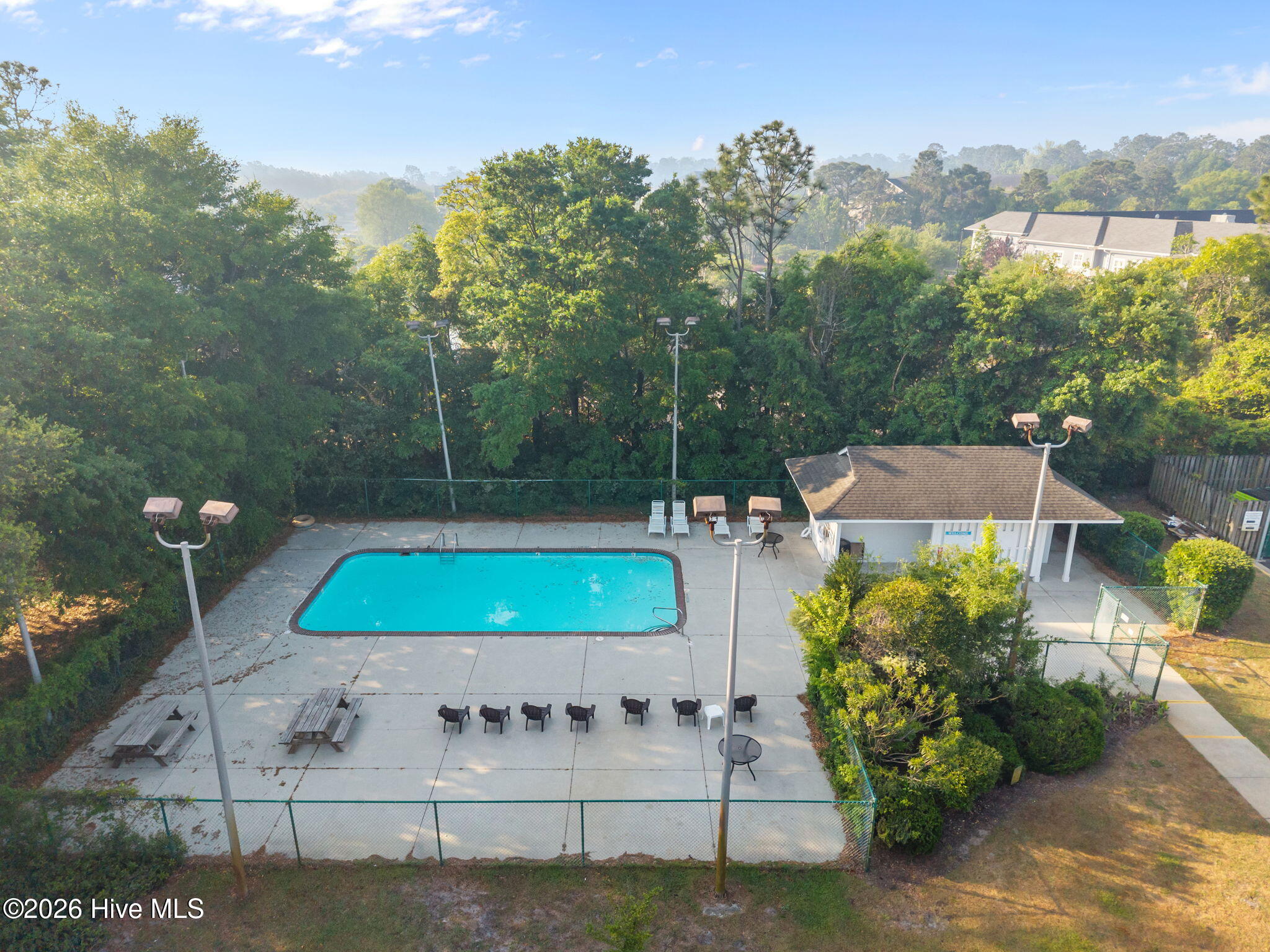 100566557 | Photo 33