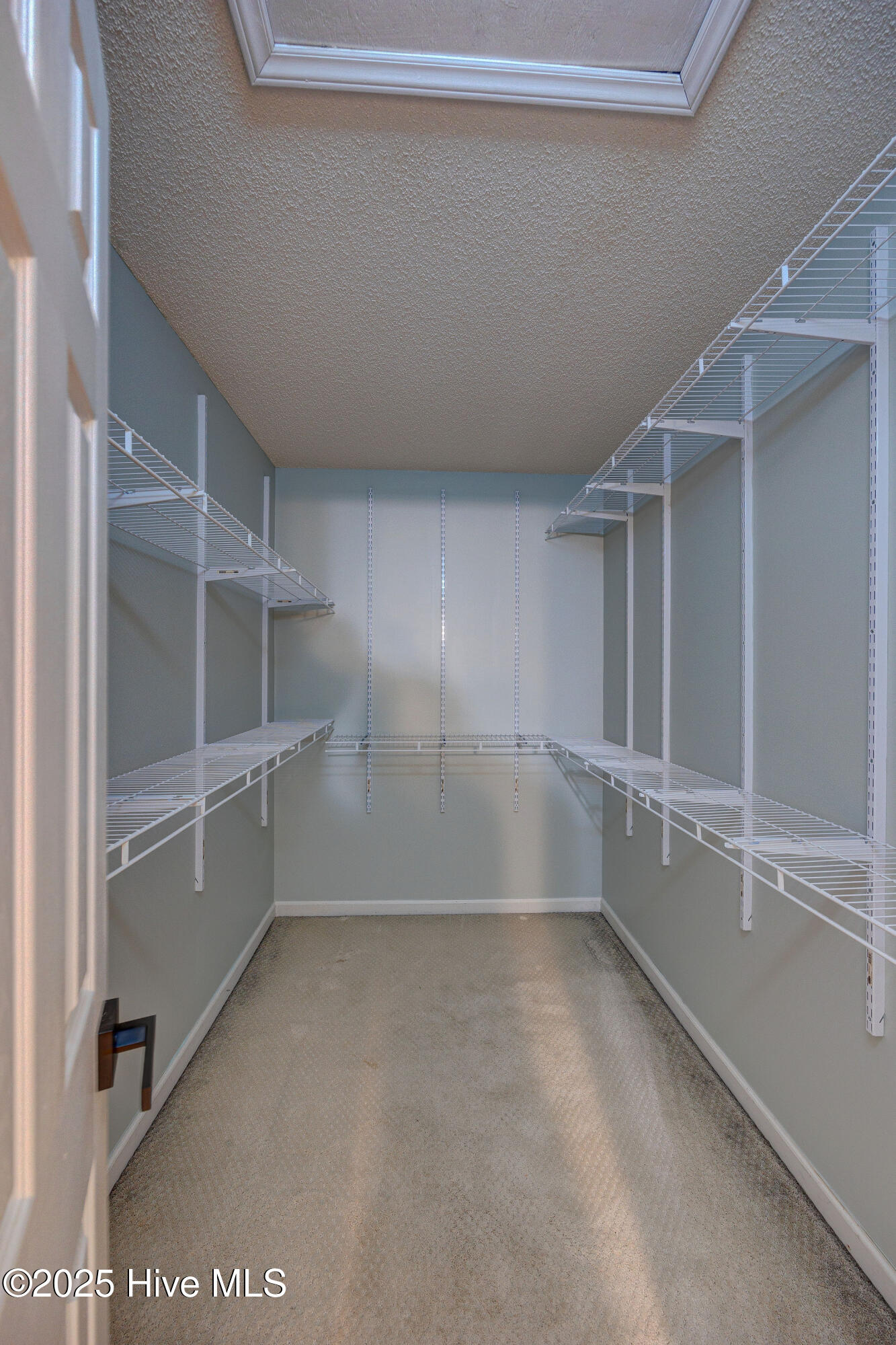 100531584 | Photo 35