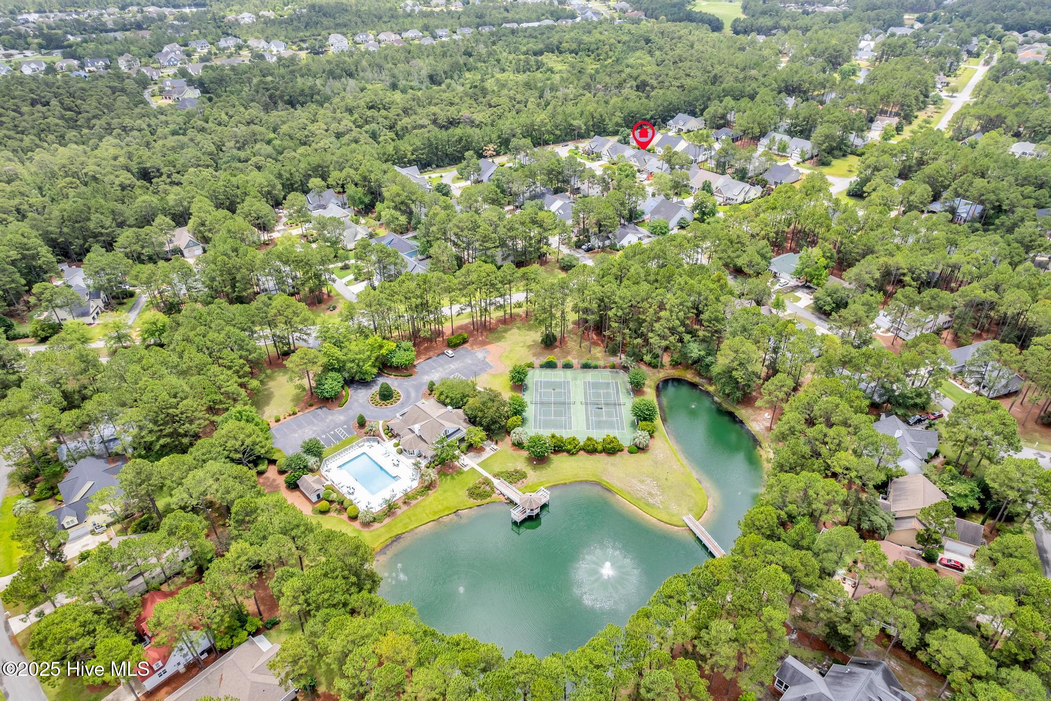 100513832 | Photo 45