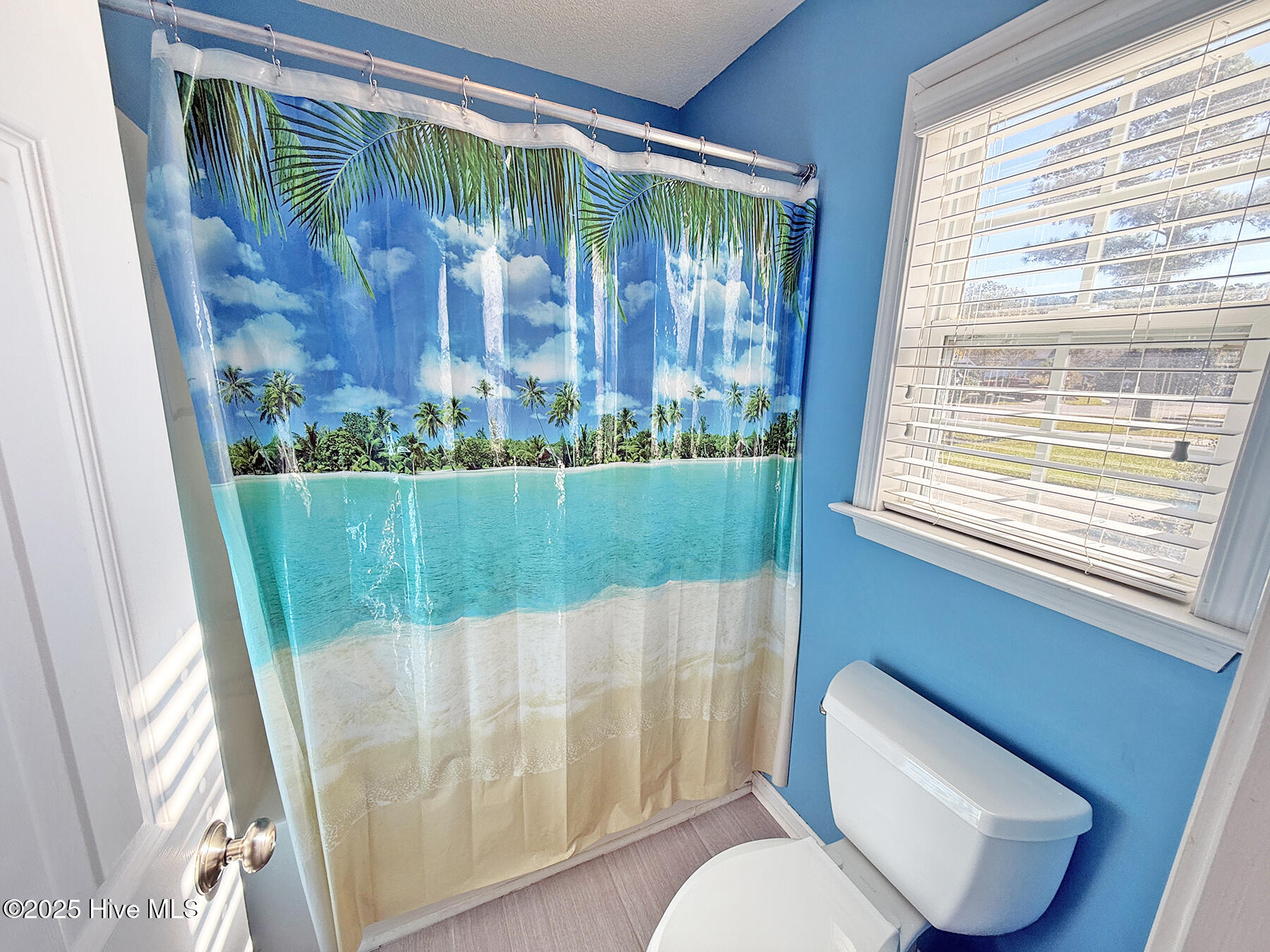 100537357 | Photo 37