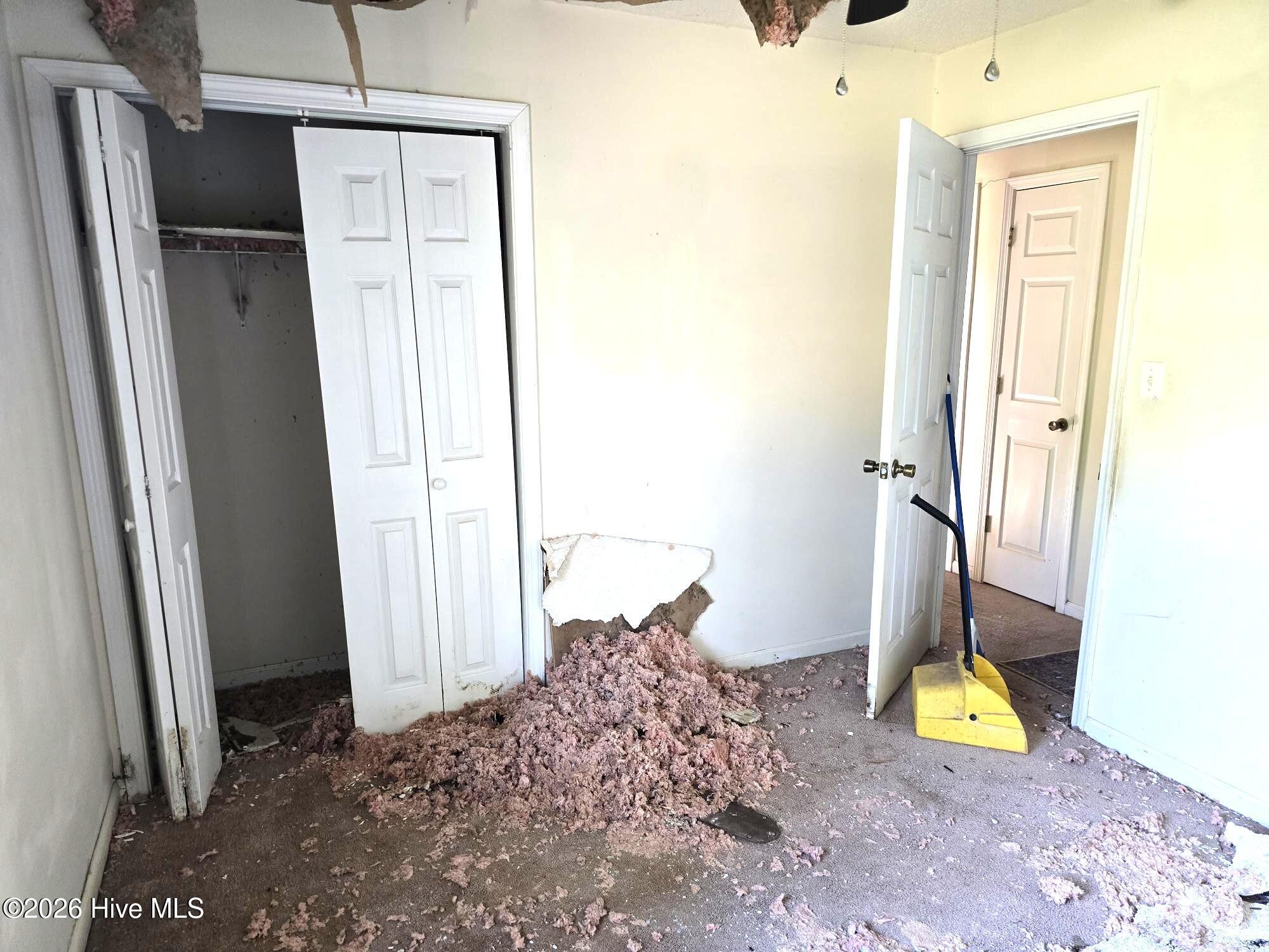 100567679 | Photo 24