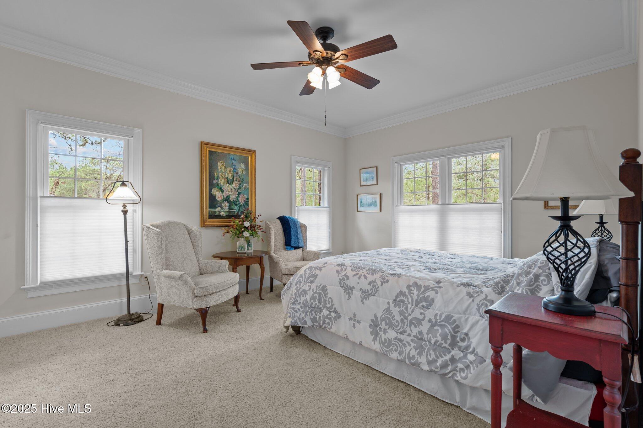 54 Abbottsford Drive