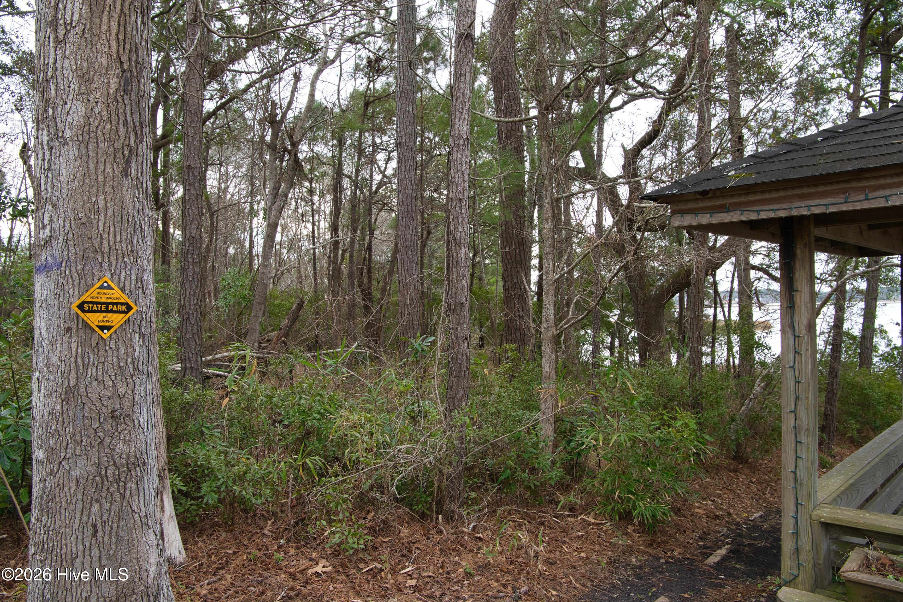 100551143 | Photo 60