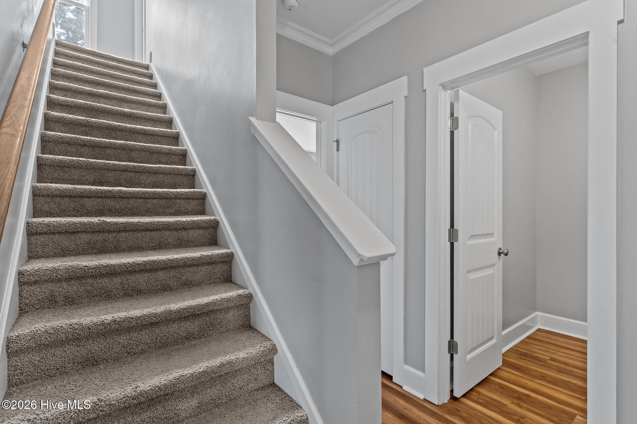 100562653 | Photo 22