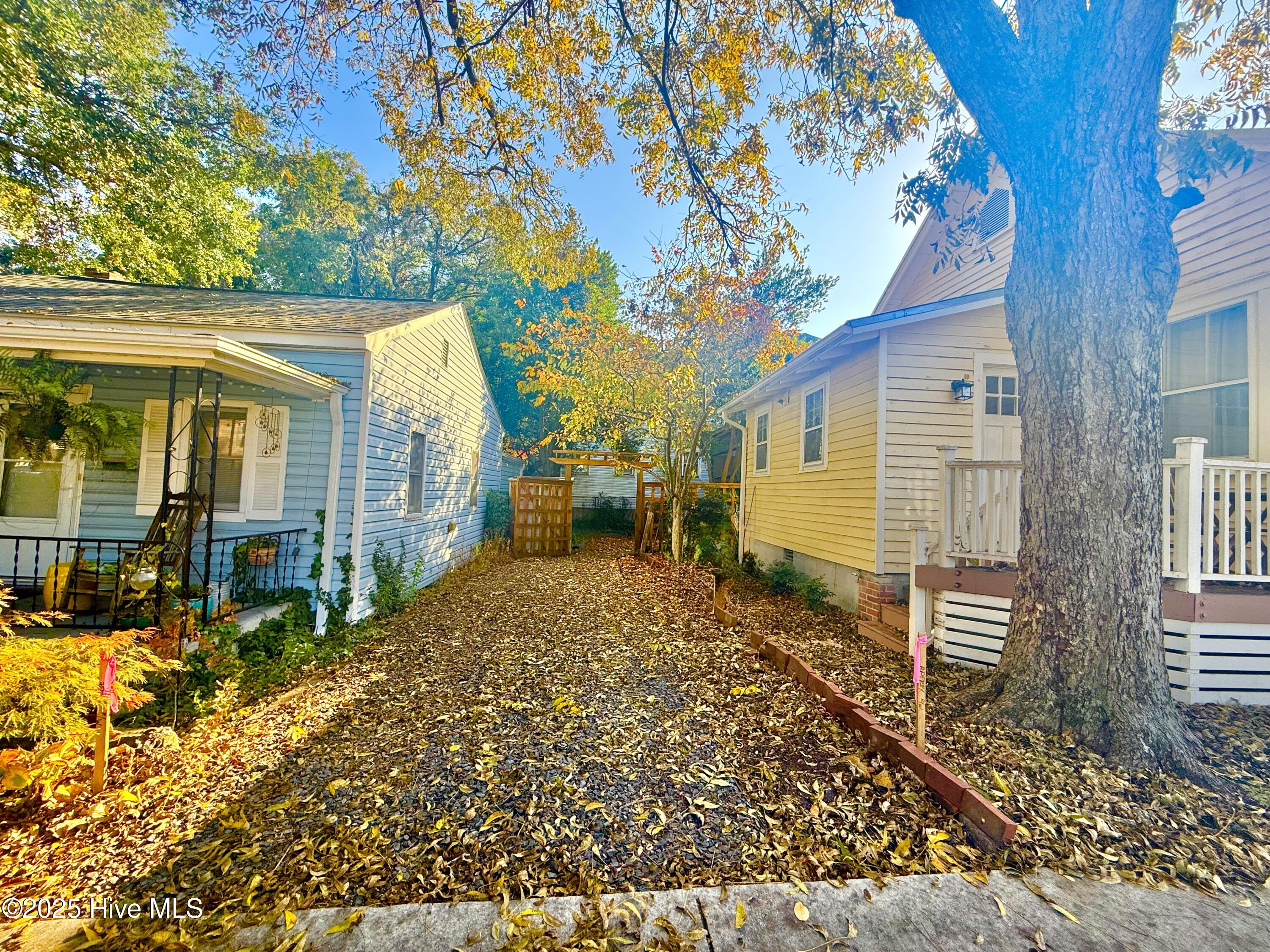 100544093 | Photo 24