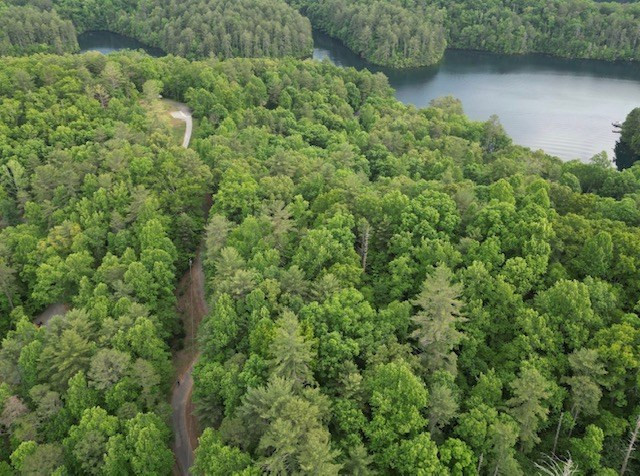 Aerial of community& Dogwood Trl