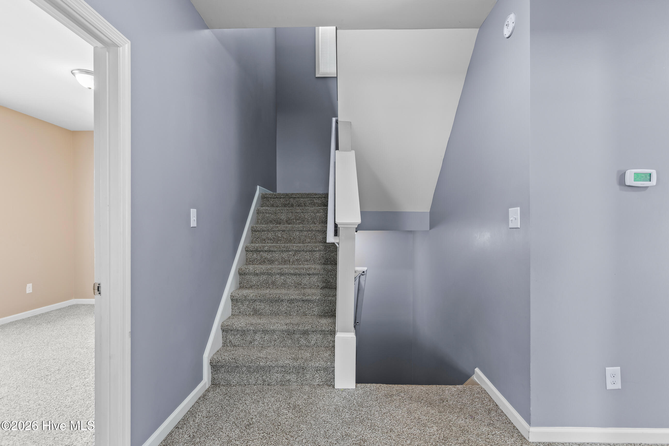 100562604 | Photo 37