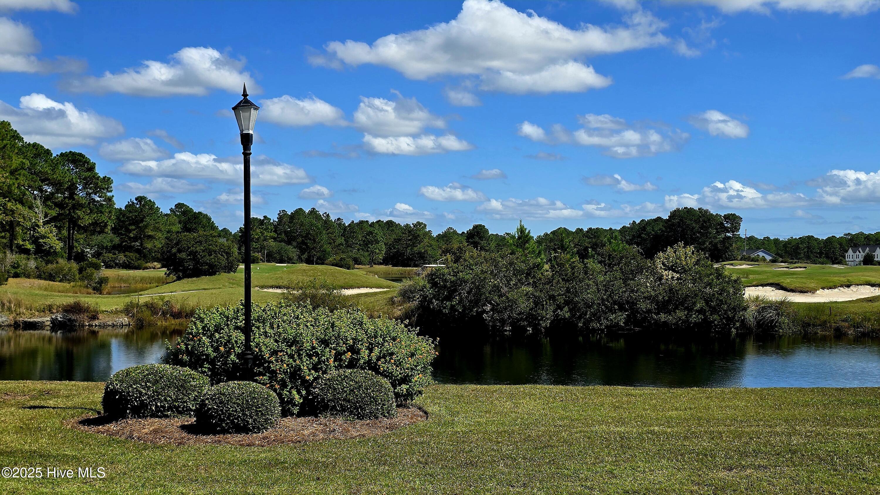 100534264 | Photo 16