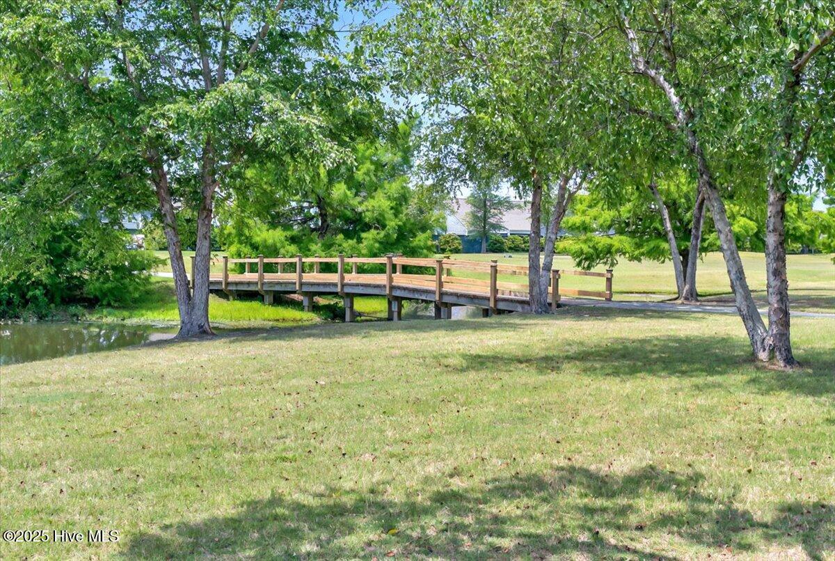 100508510 | Photo 45