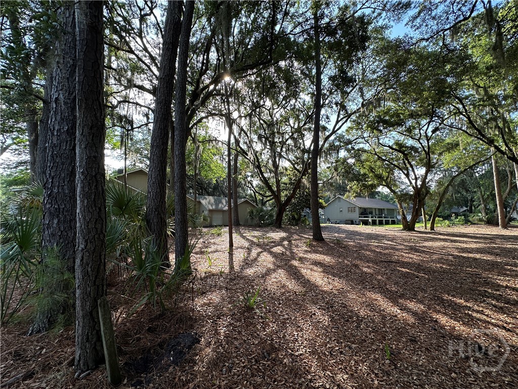 Photo 3 of Land for sale at 8 Topsail Ct, Savannah, GA 31411 | MLS# SA332346 | Listing updated on 2026-10-05