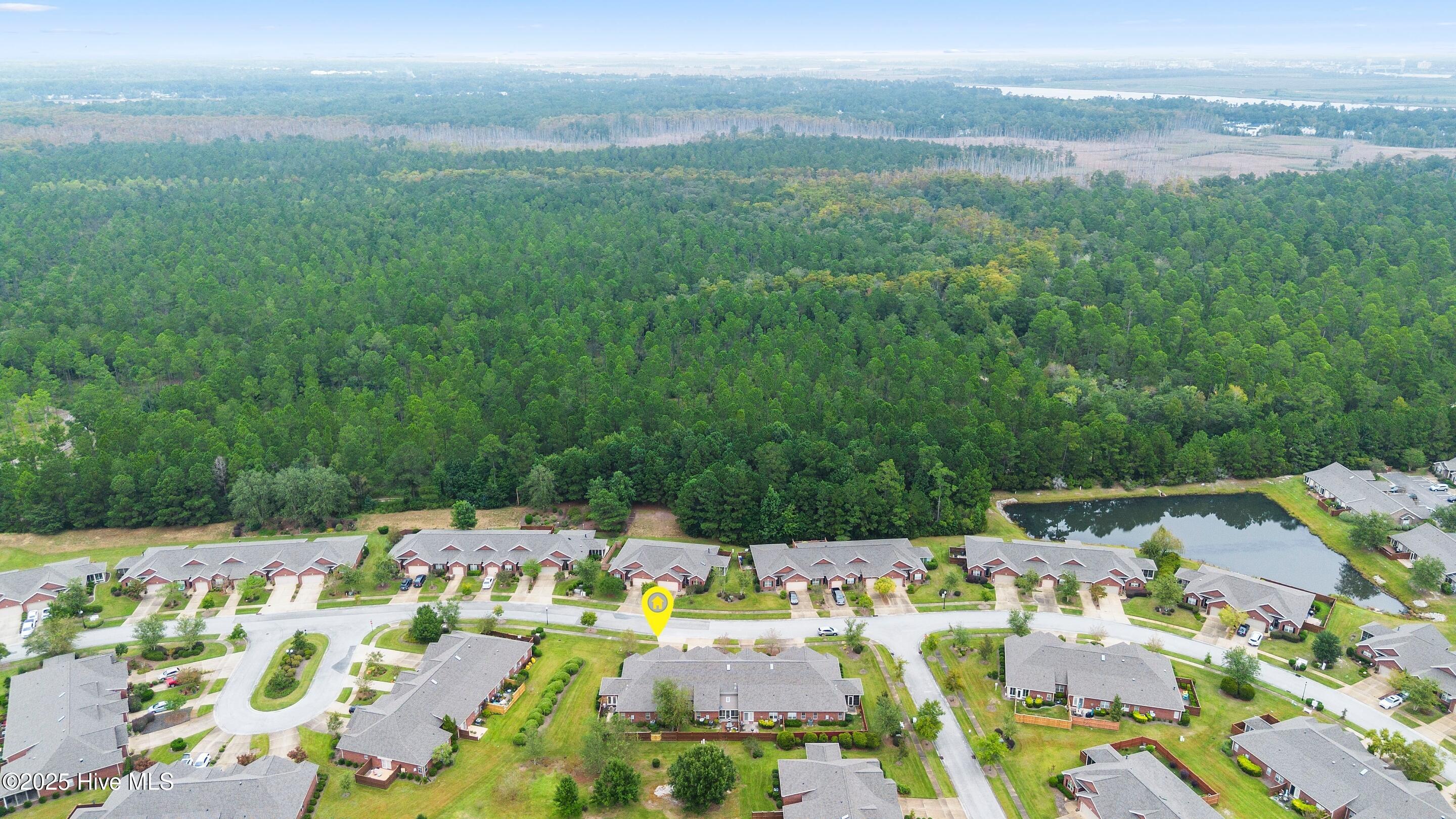 100532046 | Photo 51