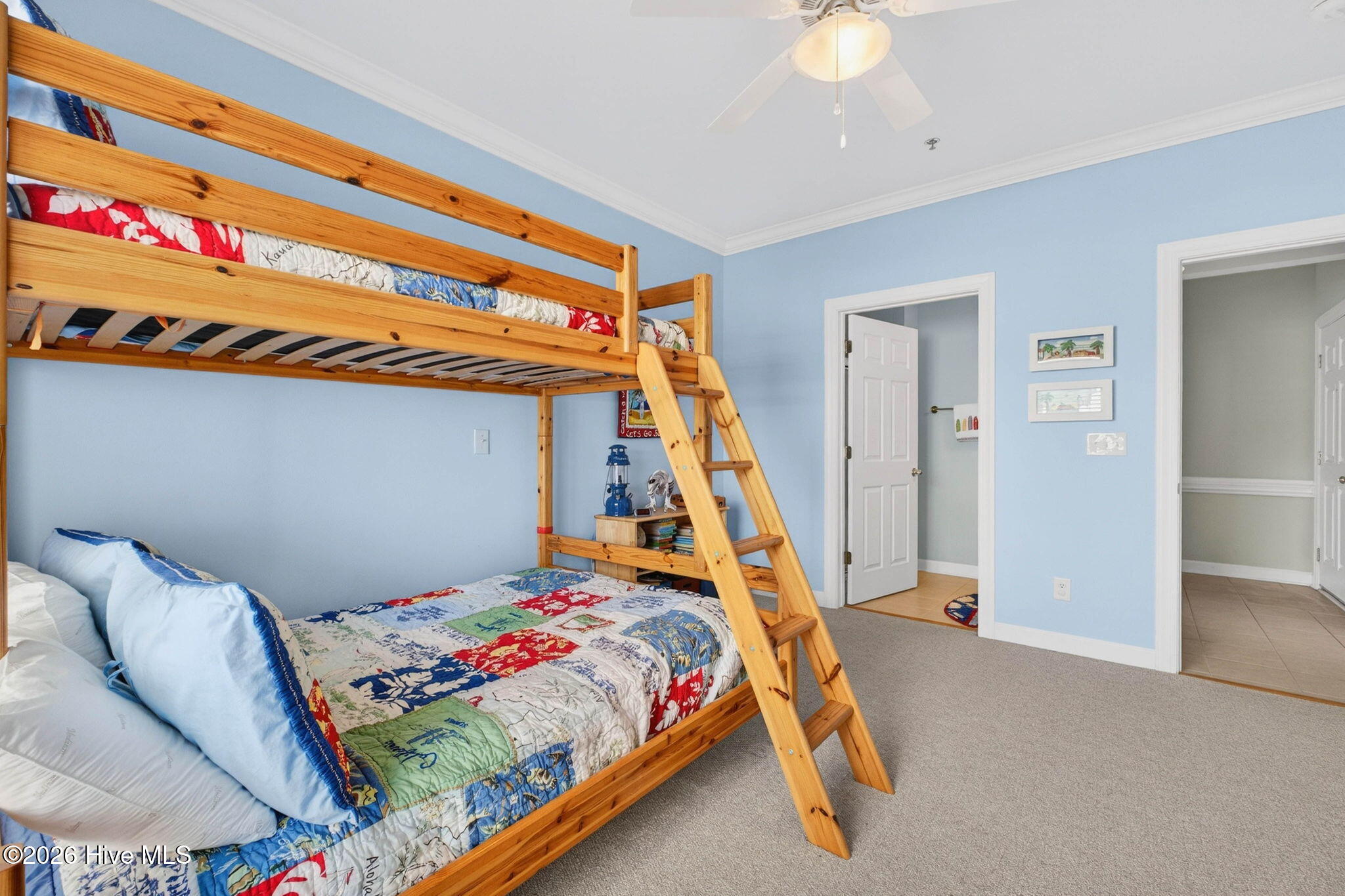 100555229 | Photo 19