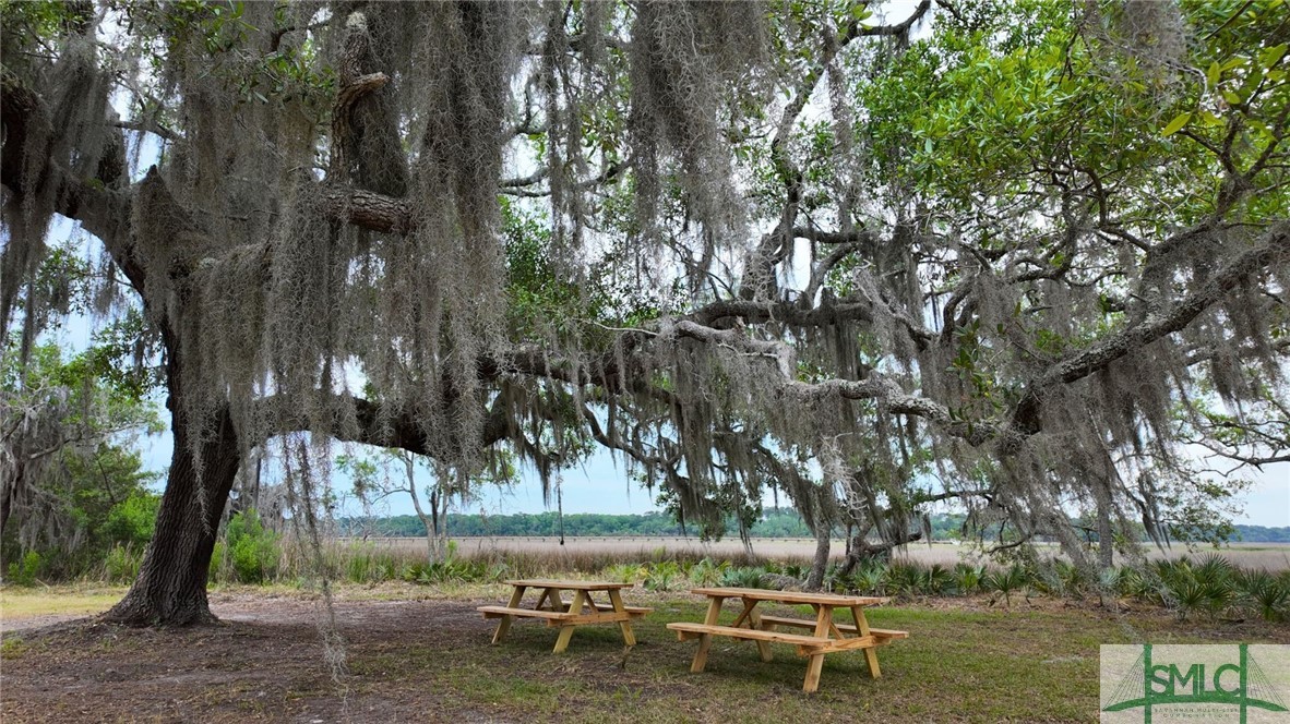 Community Picnic Area