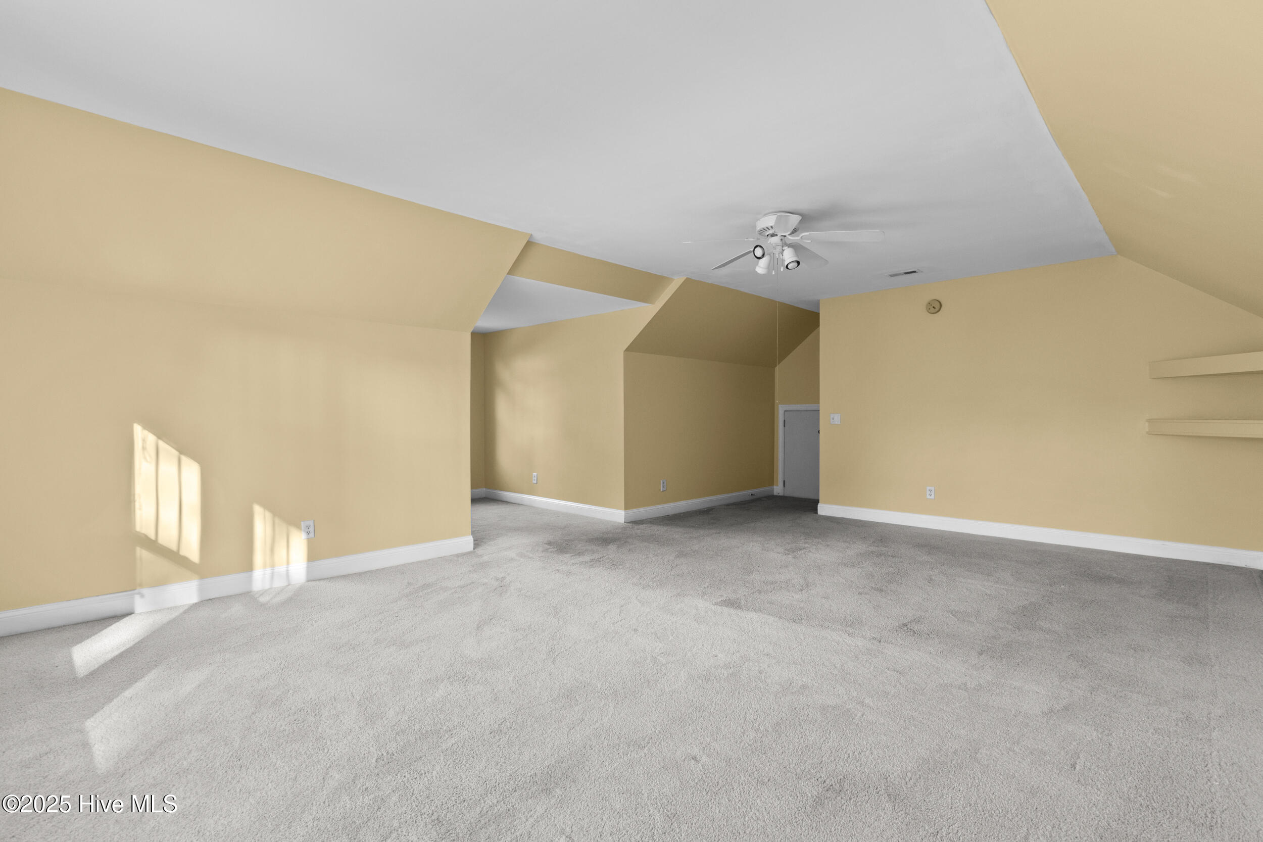 100534384 | Photo 29